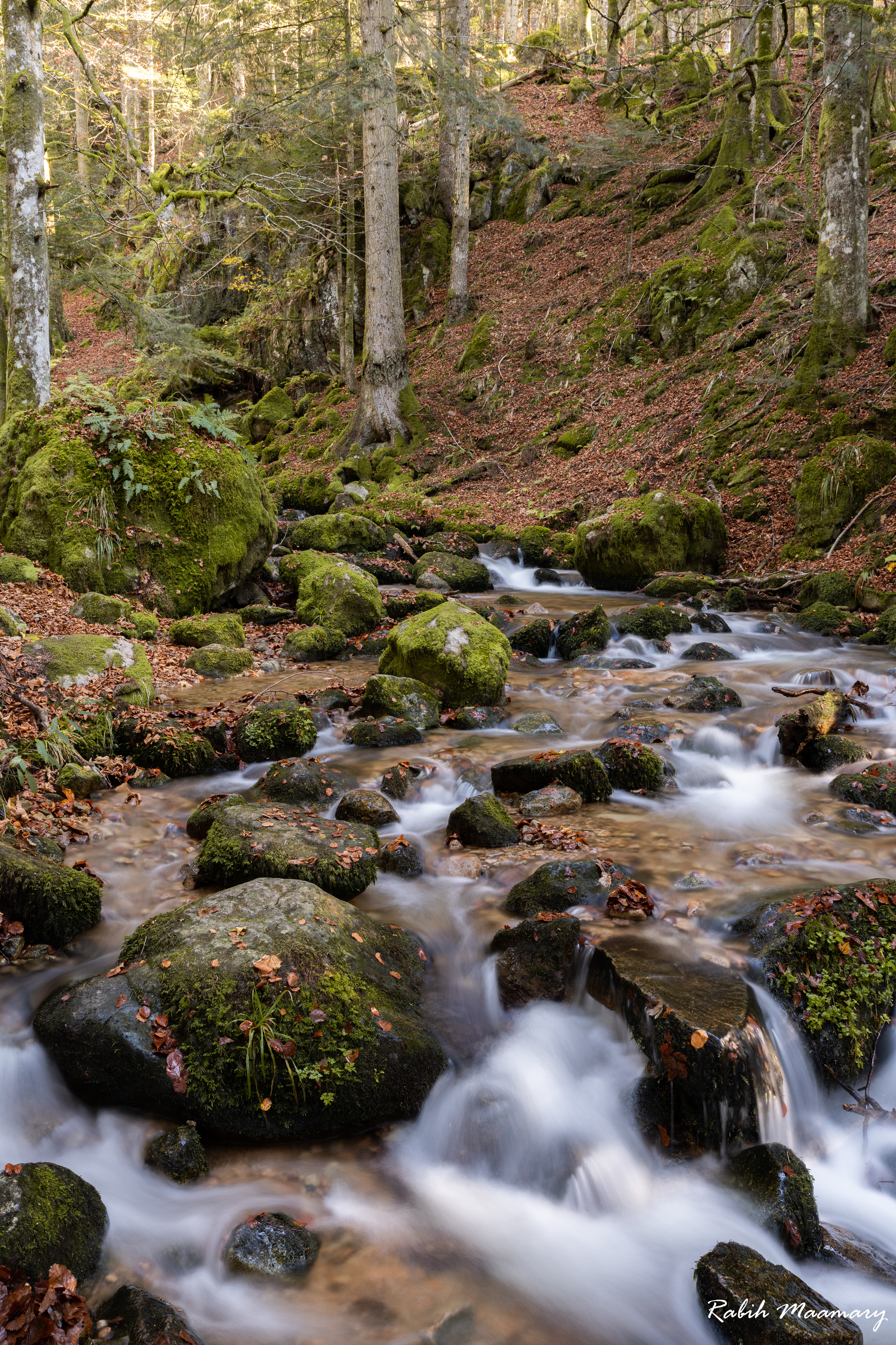 Vosges - France