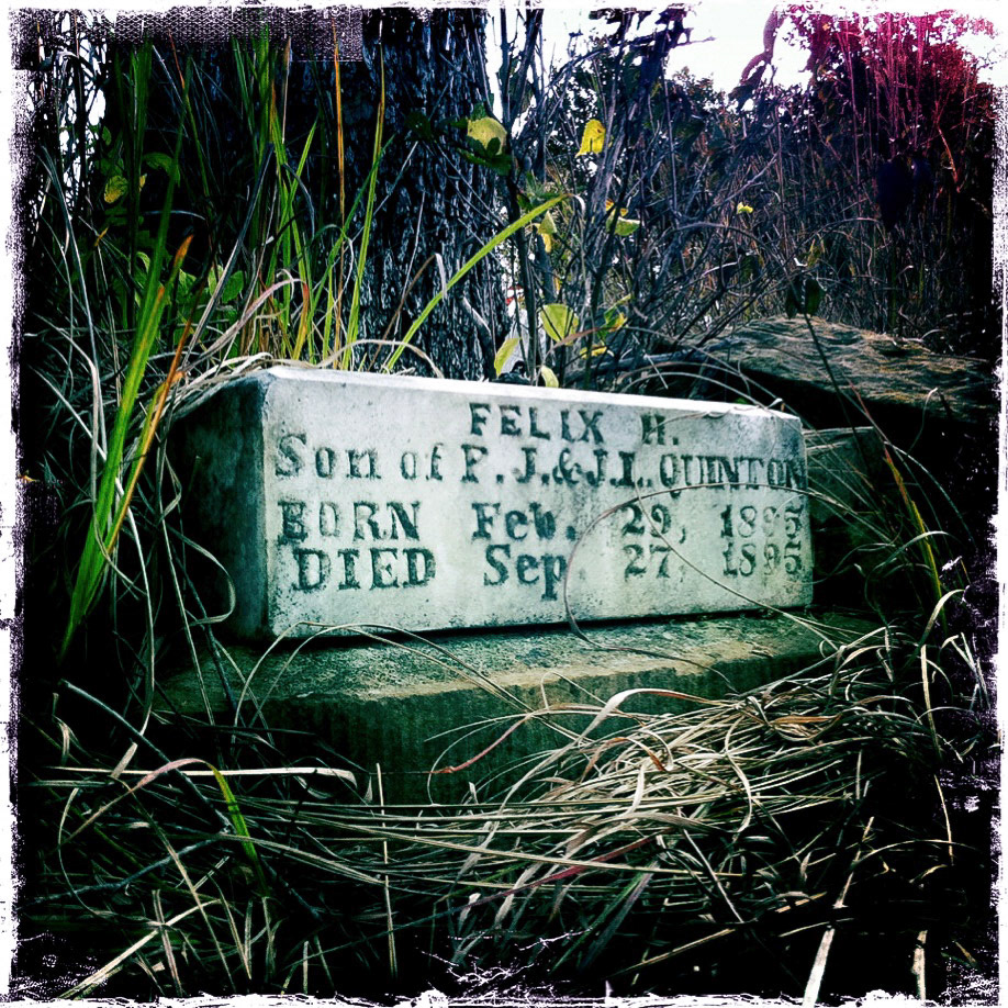 Abandoned Family Plot