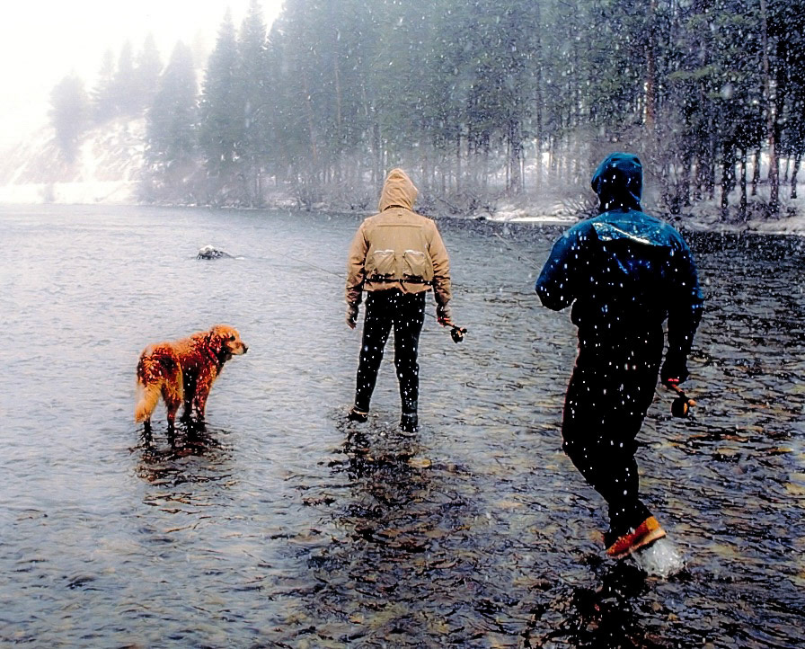Steelhead on the Salmon