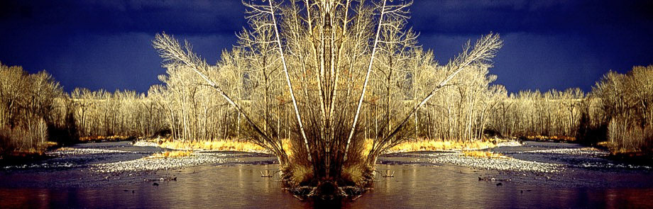 The Same River Twice - Gallatin River