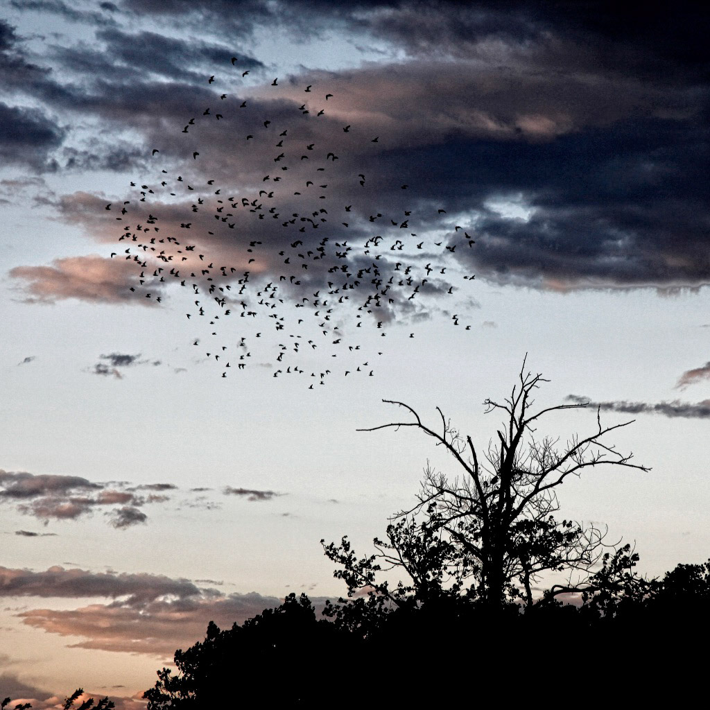 Dusk on the Missouri