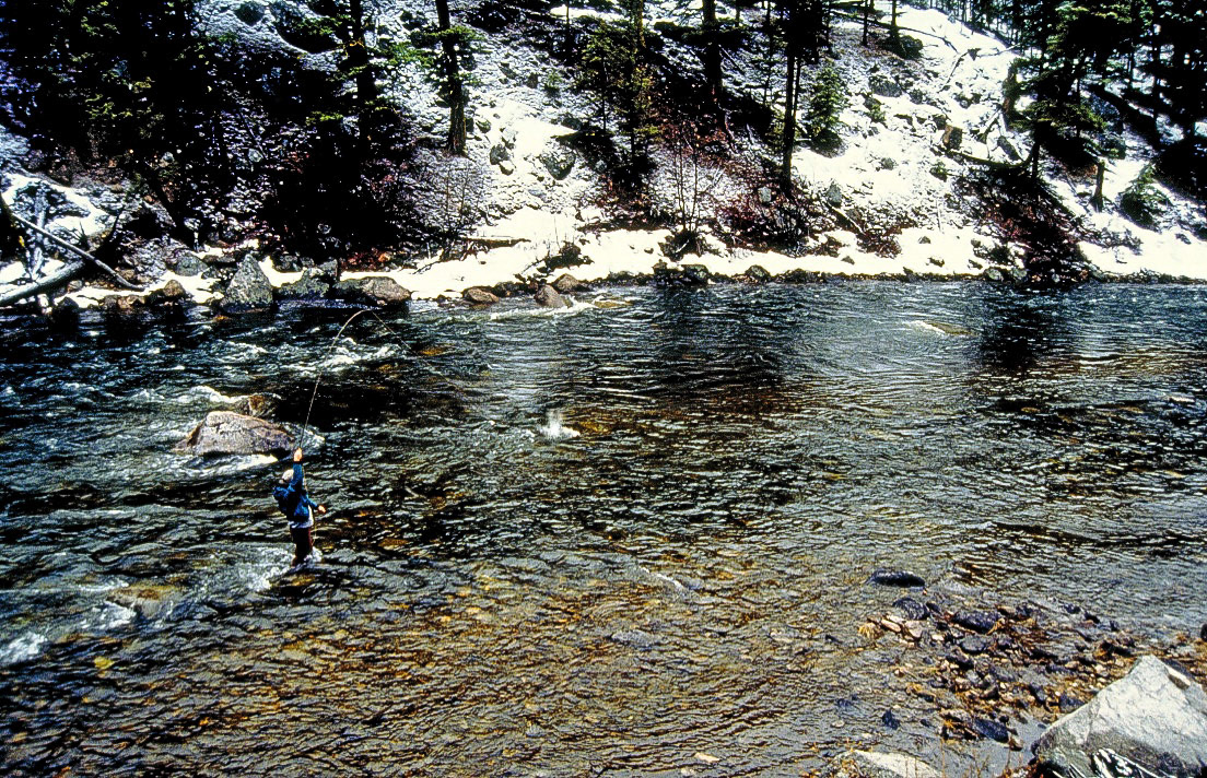 Salmon River