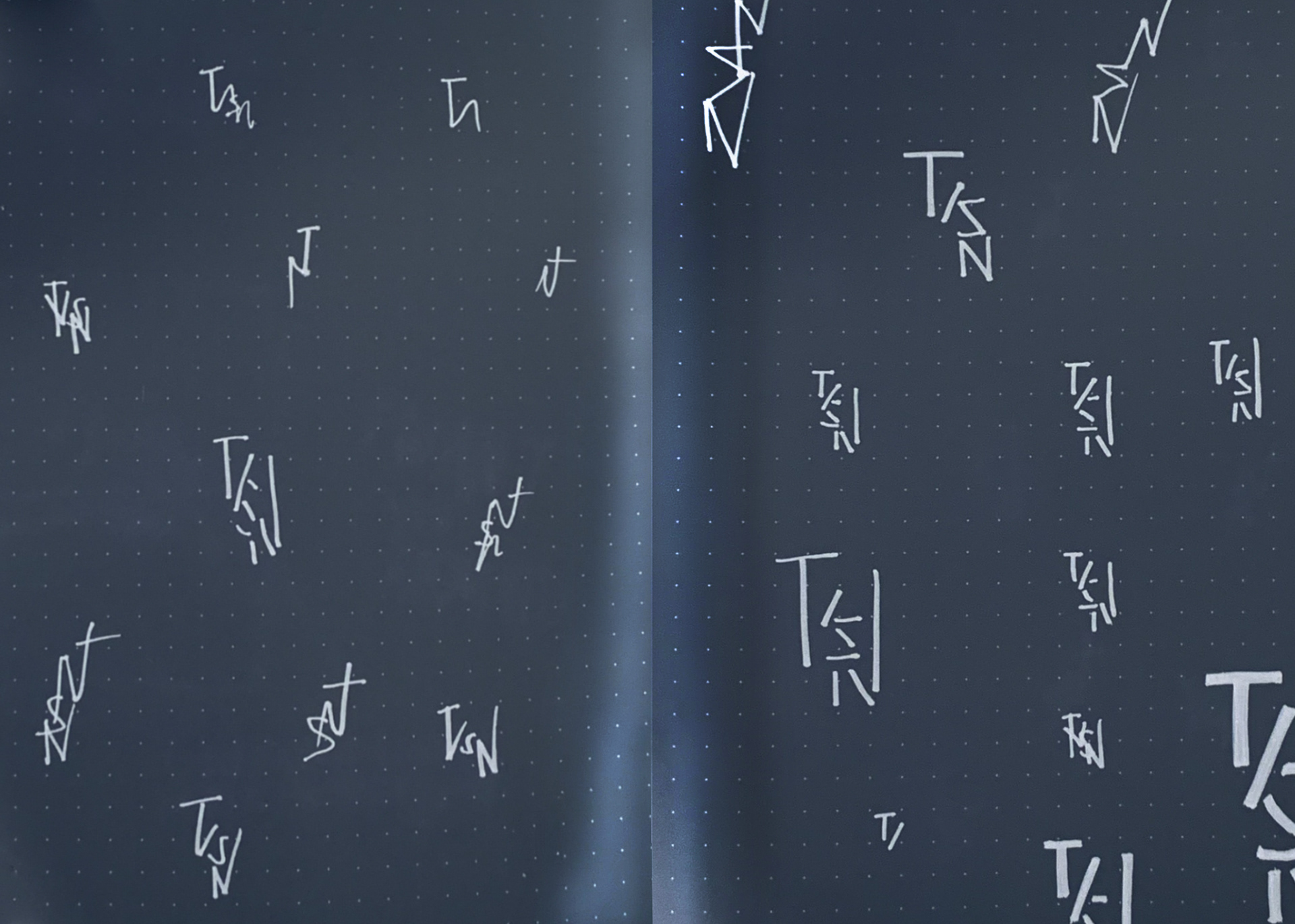 Logo Drafts
