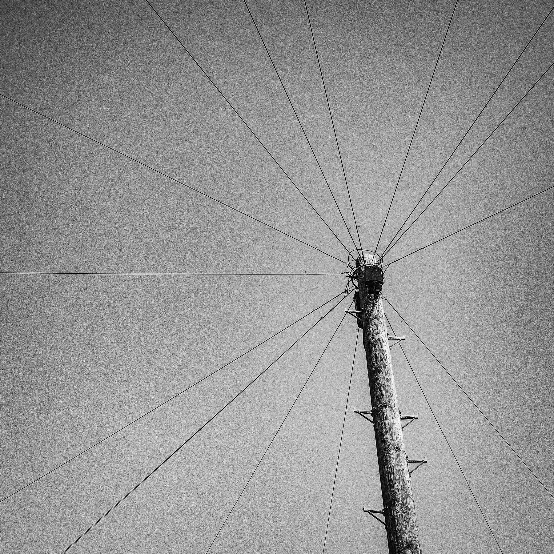Ingatestone, Essex, August 2019