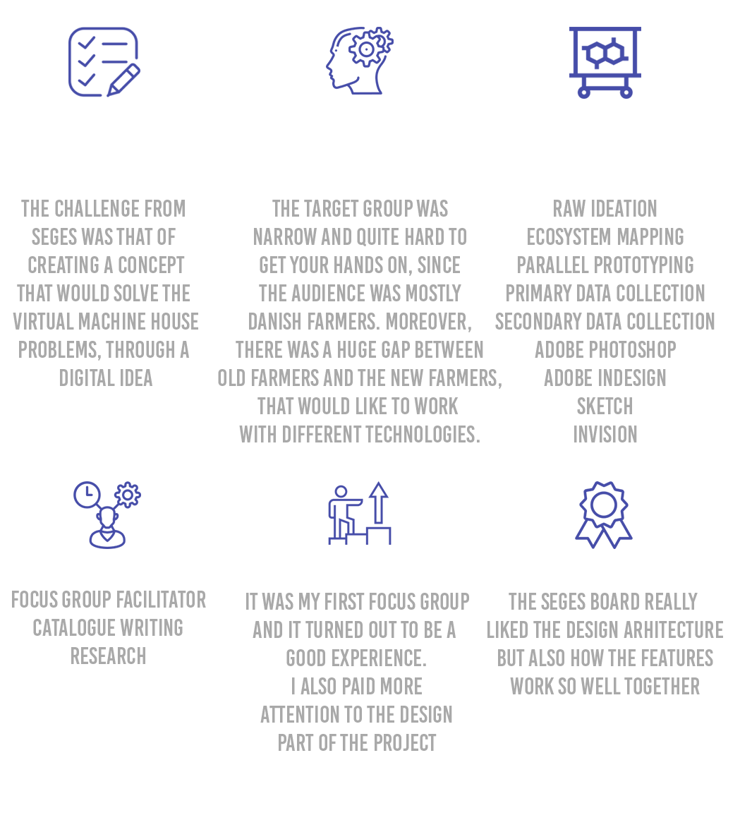 Cristian Buita Digital Marketing - Seges Work Details