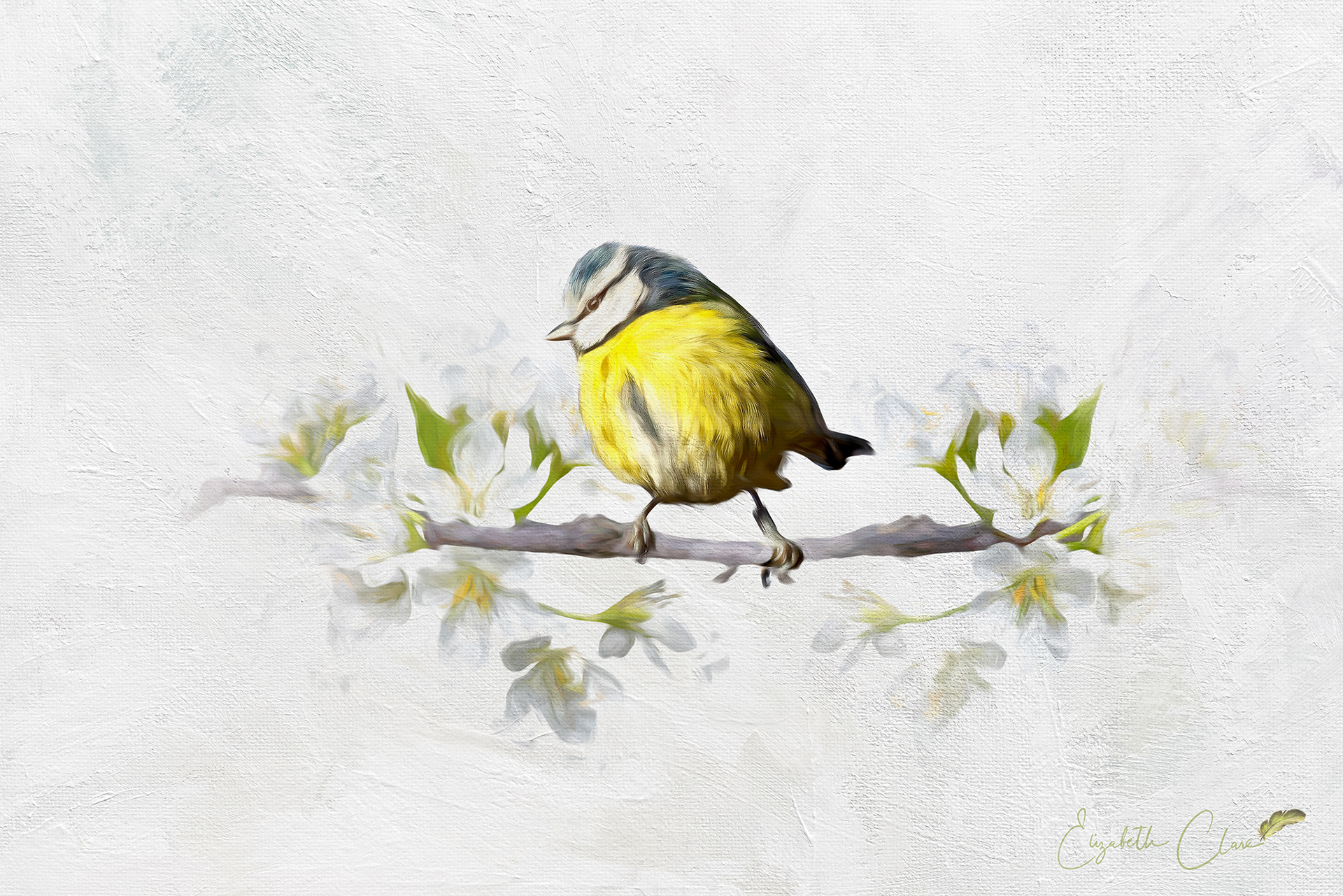 Spring