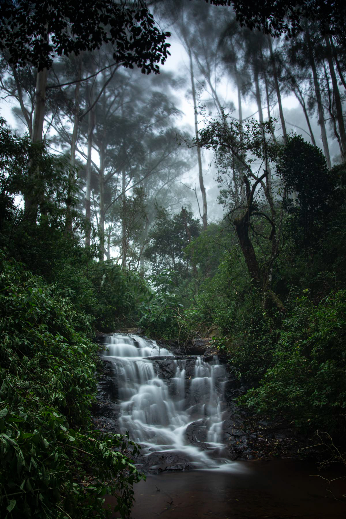 Hidden Beauty, Ooty