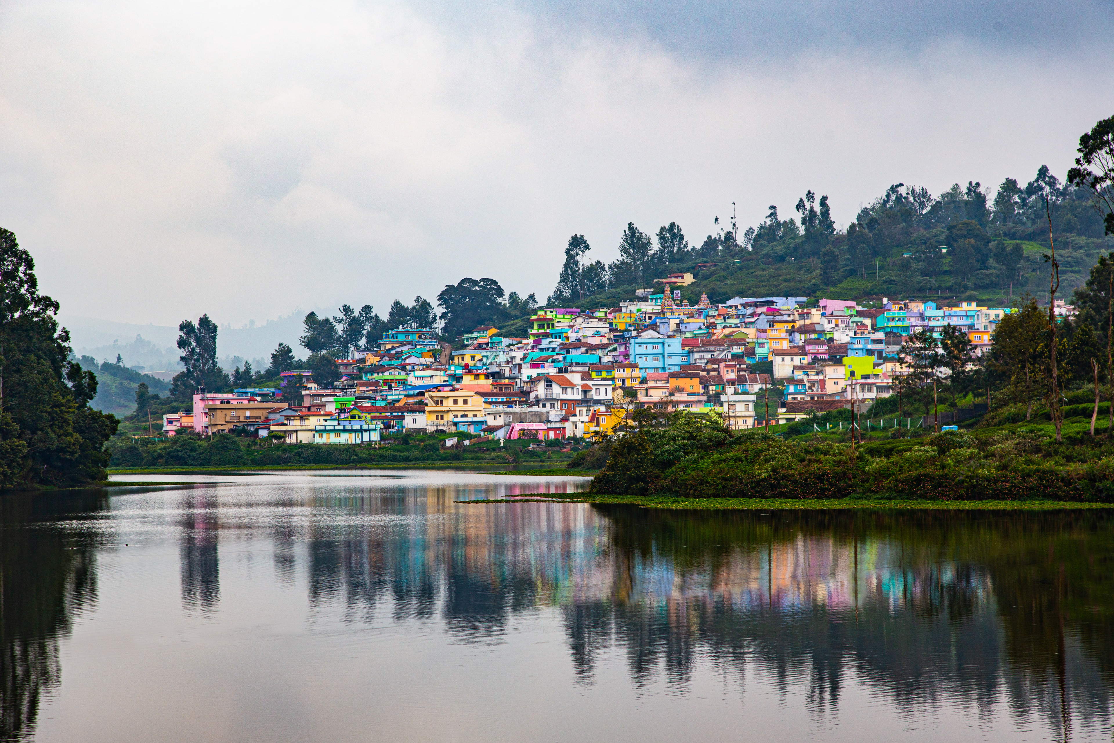 What colour do you see? Ooty