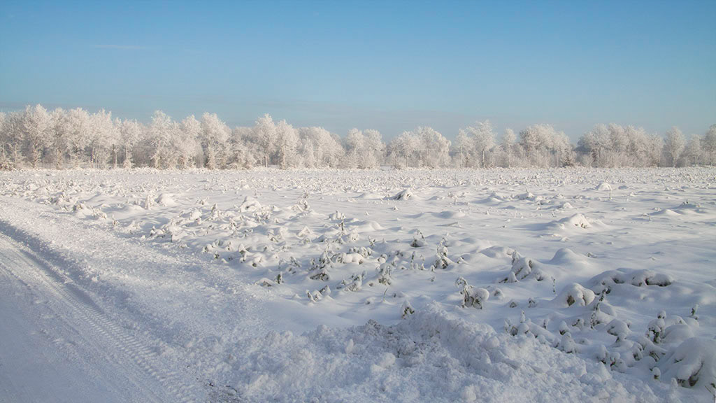 Sinningen - Schnee