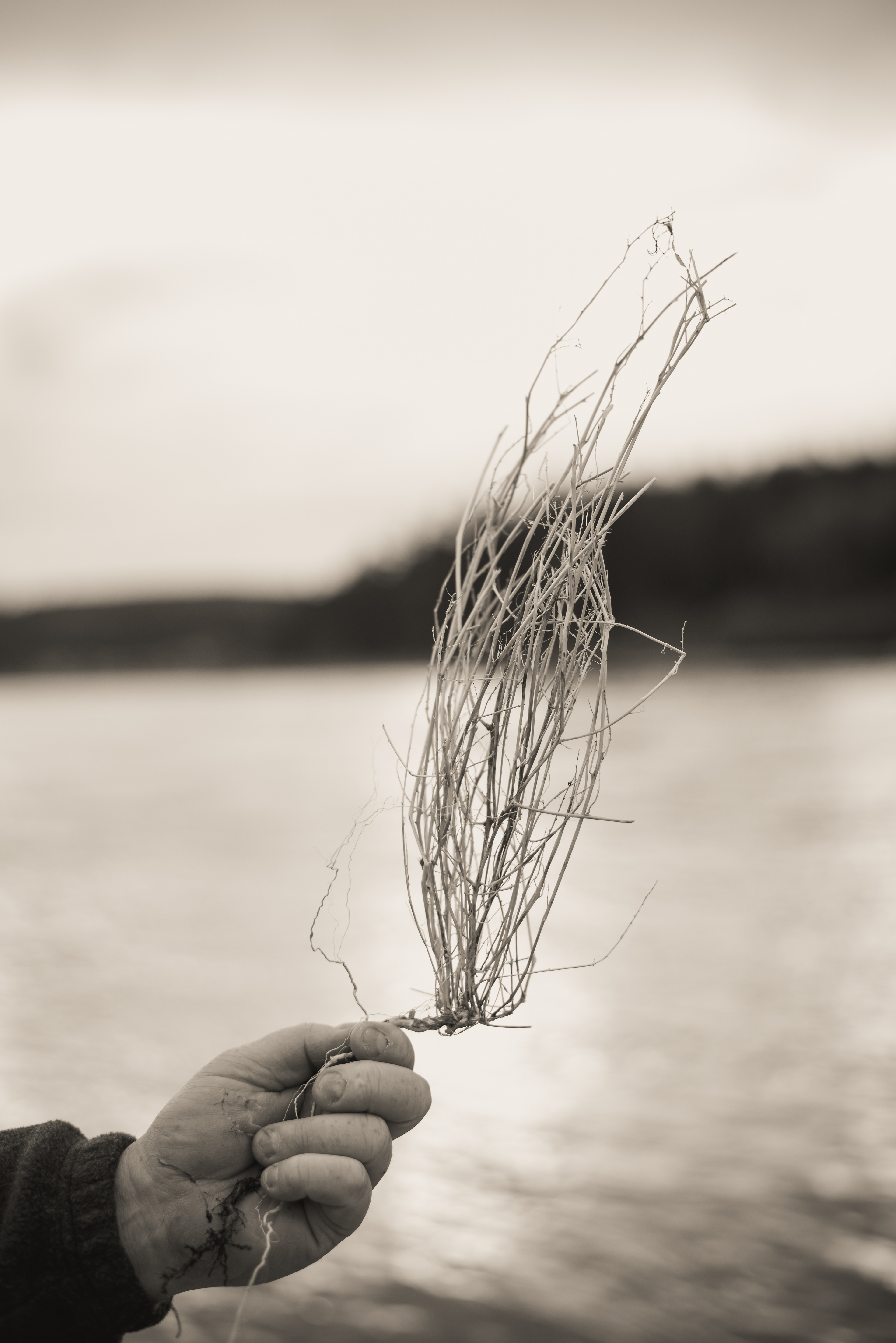 Clinging To What Is Gone