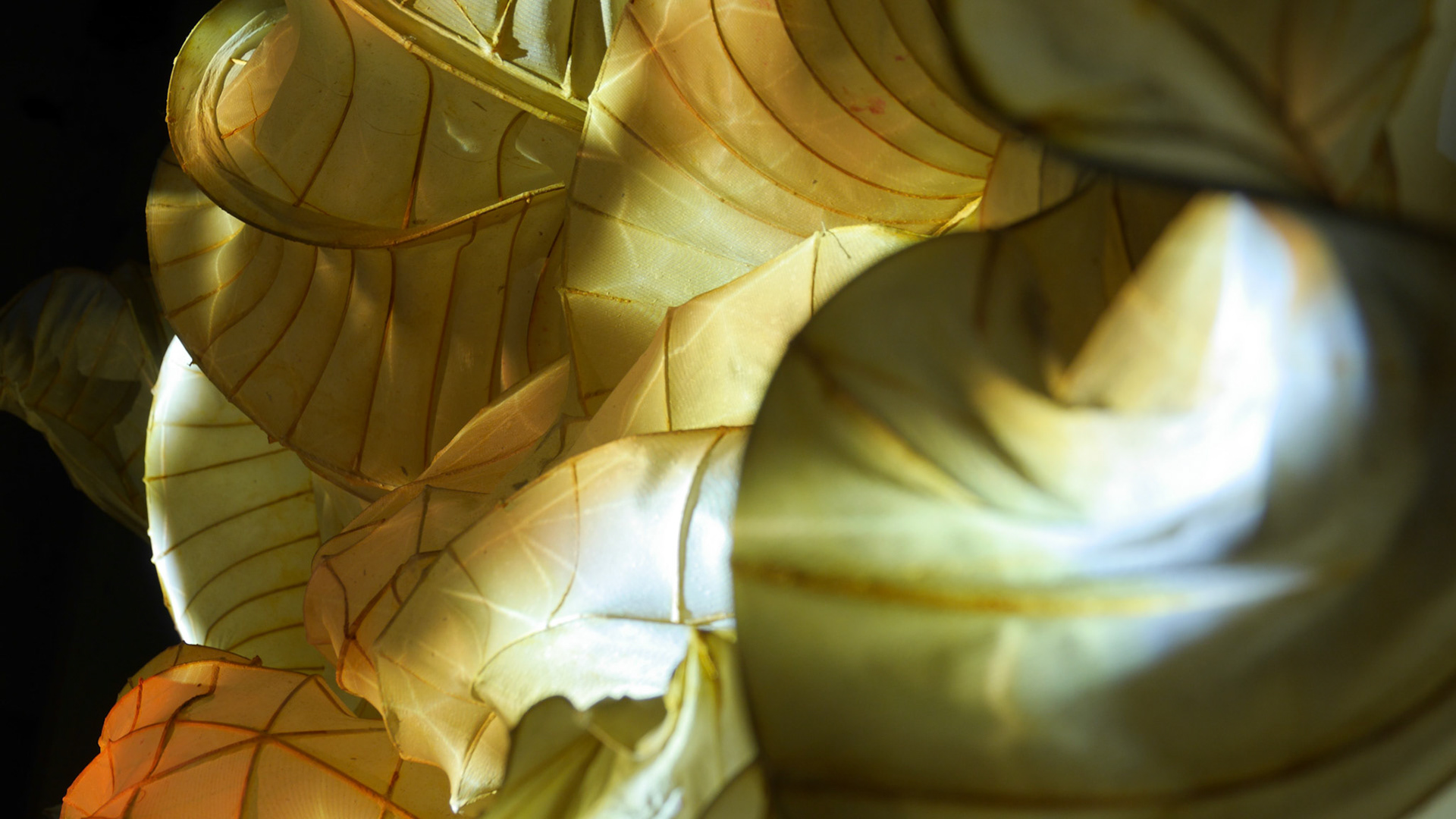 PaperArt Illuminated
