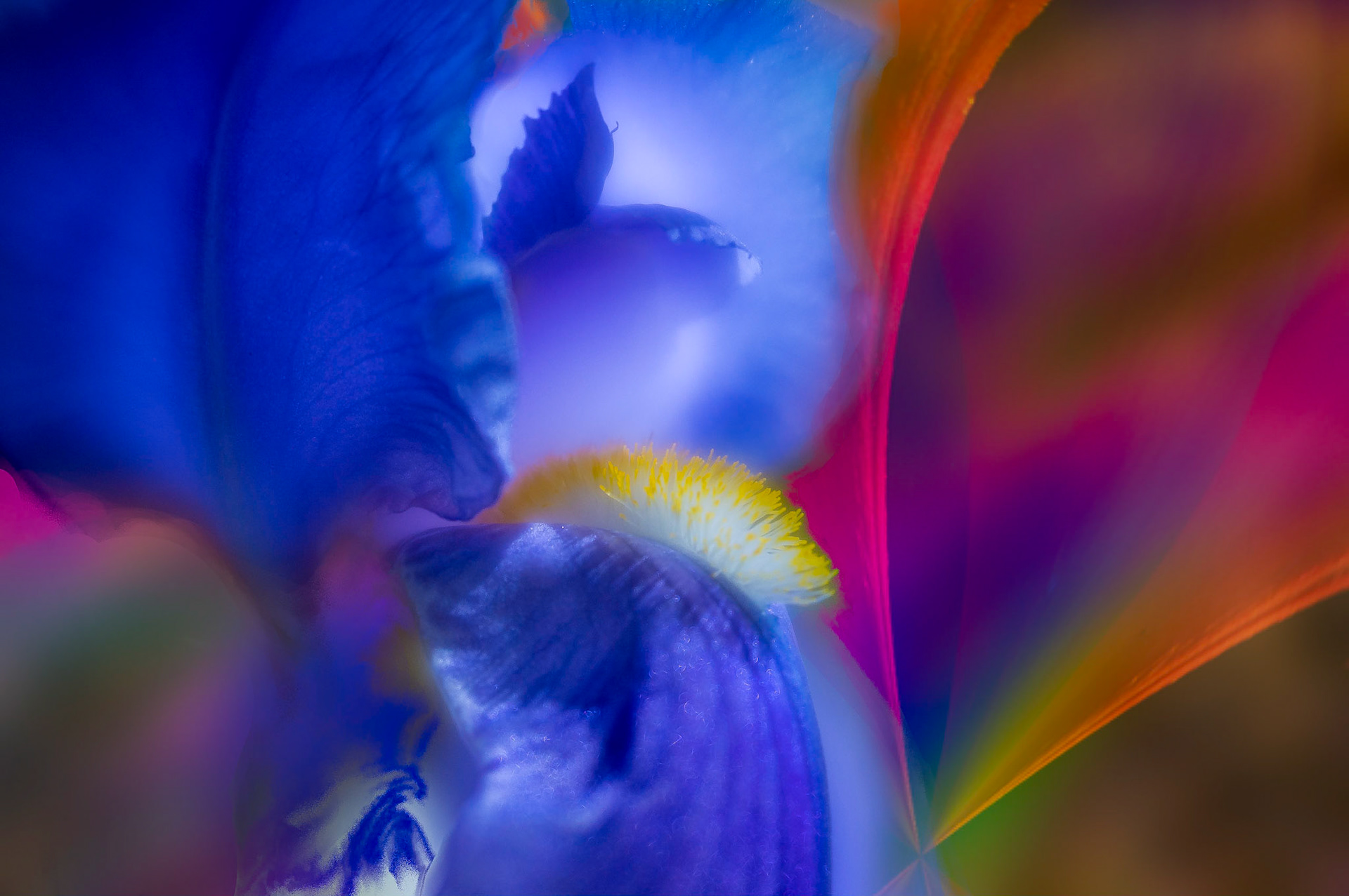 "Springmorning Kaleidoscope", 2020