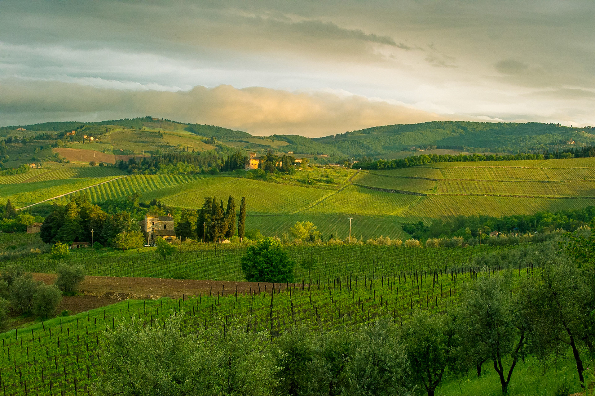 "Between The Rains", Panzano, Tuscany, 2010