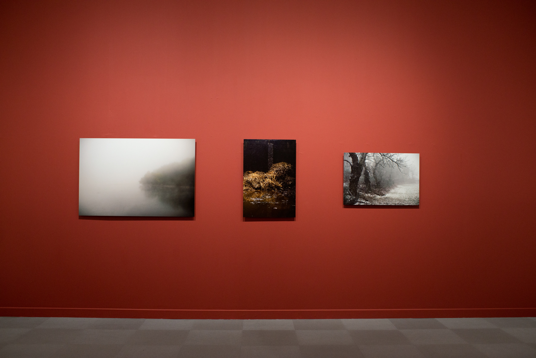 Saisons noires - Musée de La Roche-sur-Yon – 2016