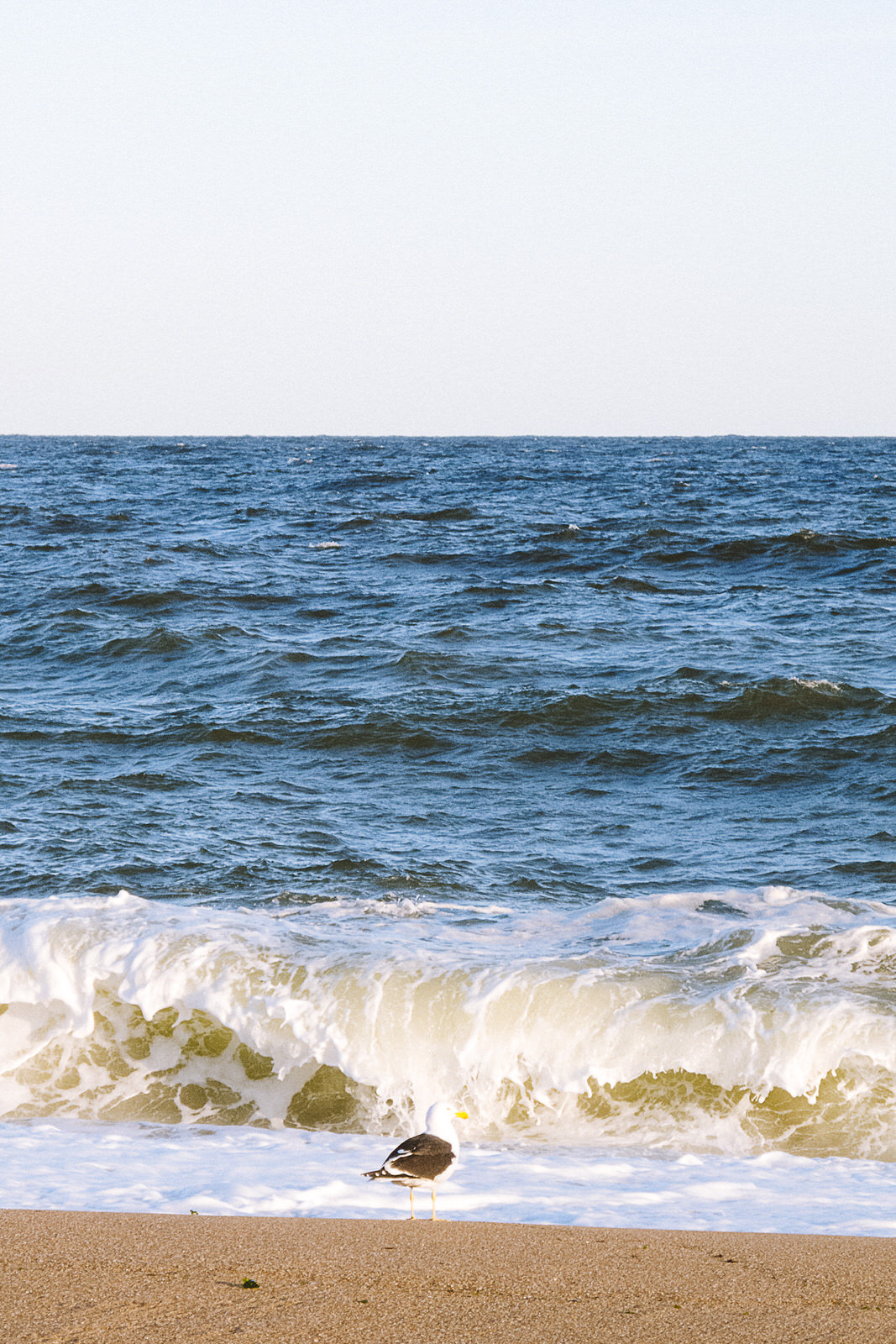 Punta del Este - Uruguay