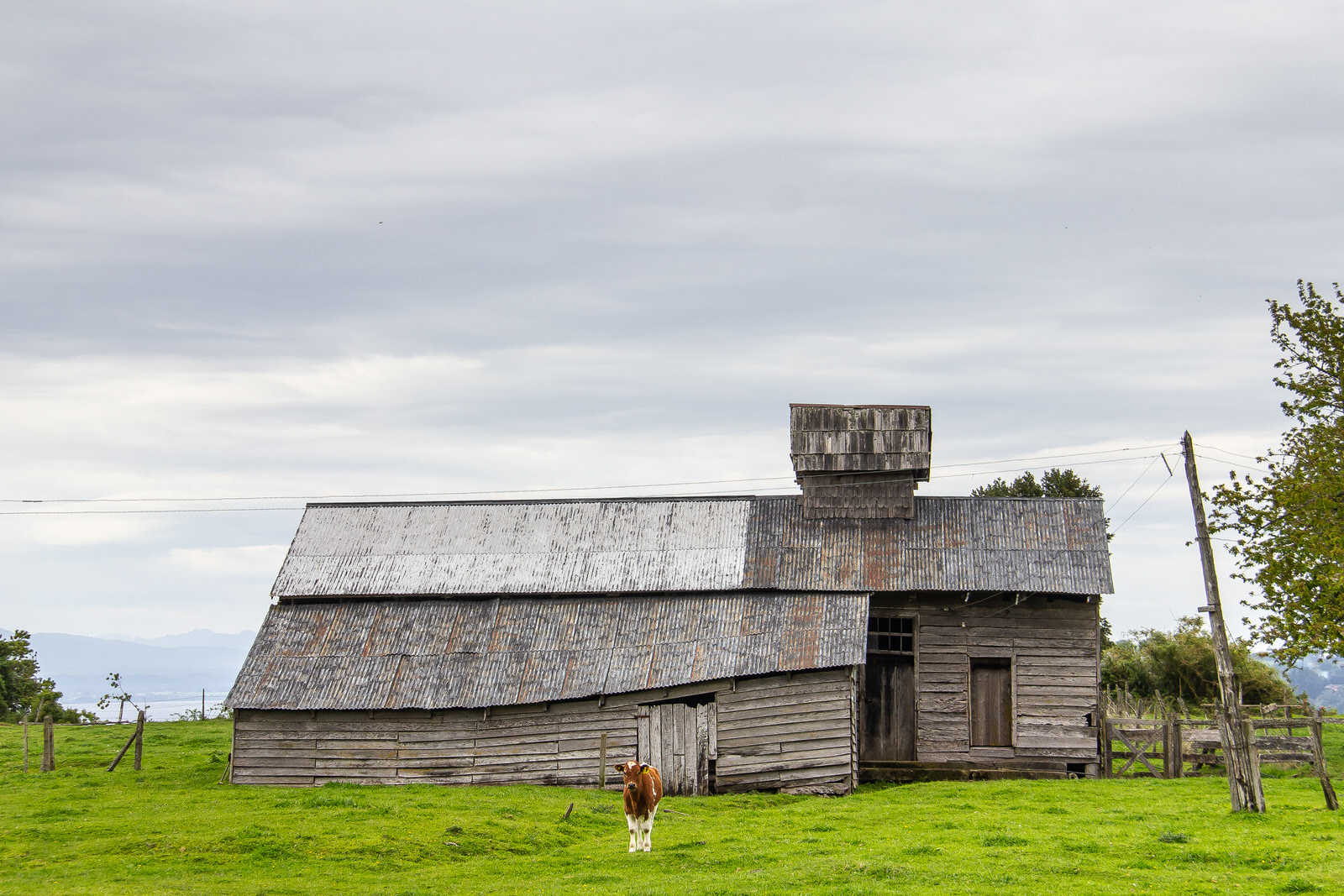 Frutillar - Región de los Lagos - Chile