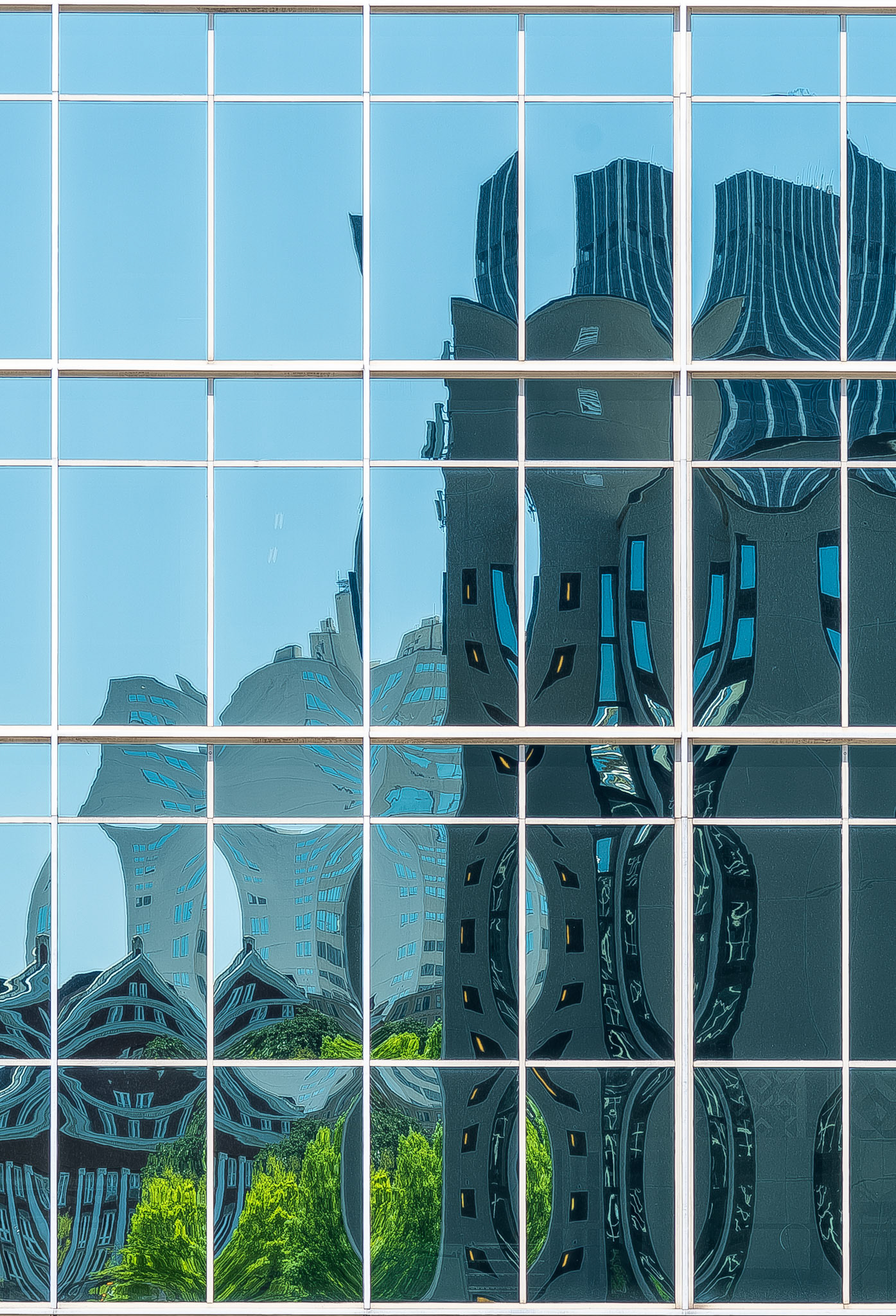 Living City