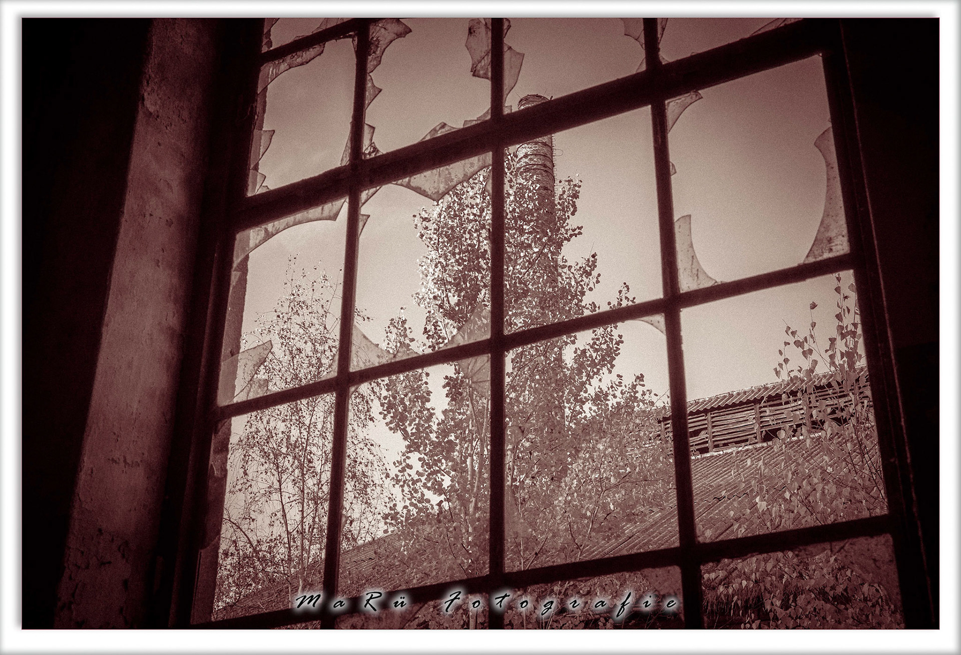 Ausblick