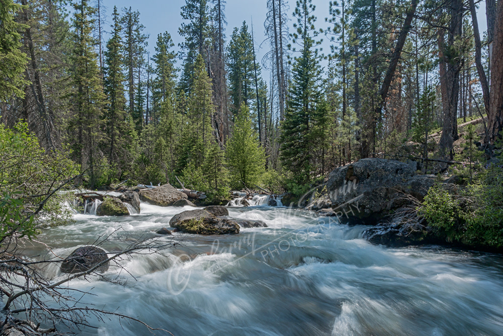 Whychus Creek, Deschutes County, Oregon - Image #4710
