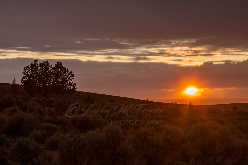 Steens Mountain Sunset, Oregon - Image #4985
