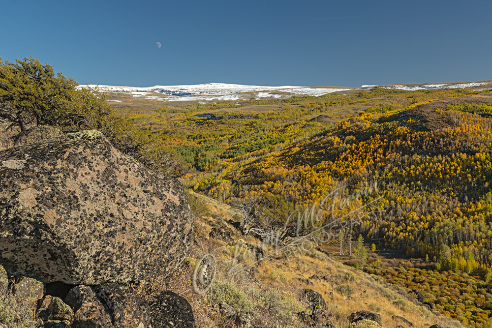 Fall Color, Steens Mountain, Oregon - Image #5241