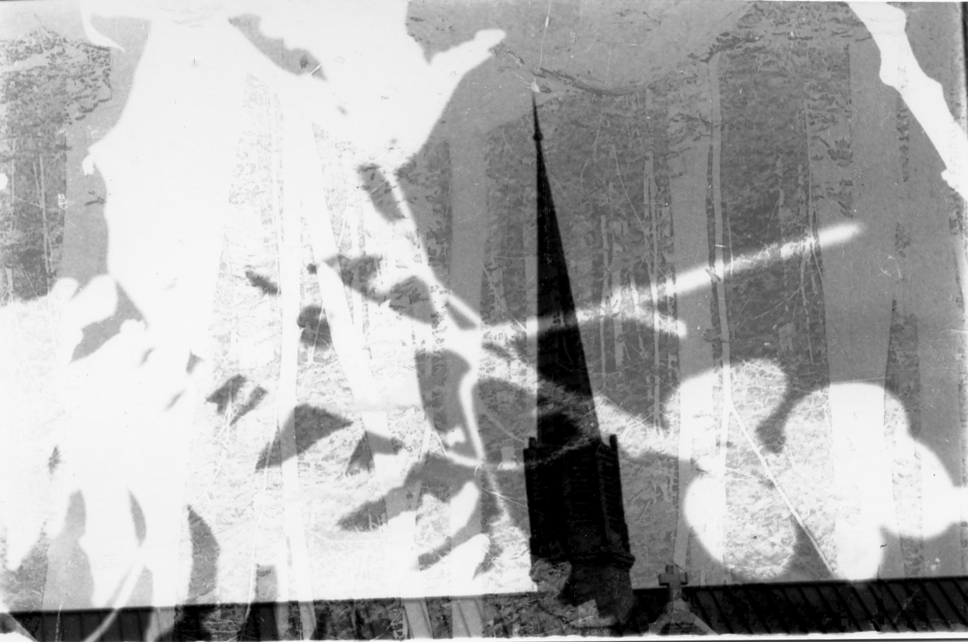 Untitled. Photogram Collage. Variable. 2020.