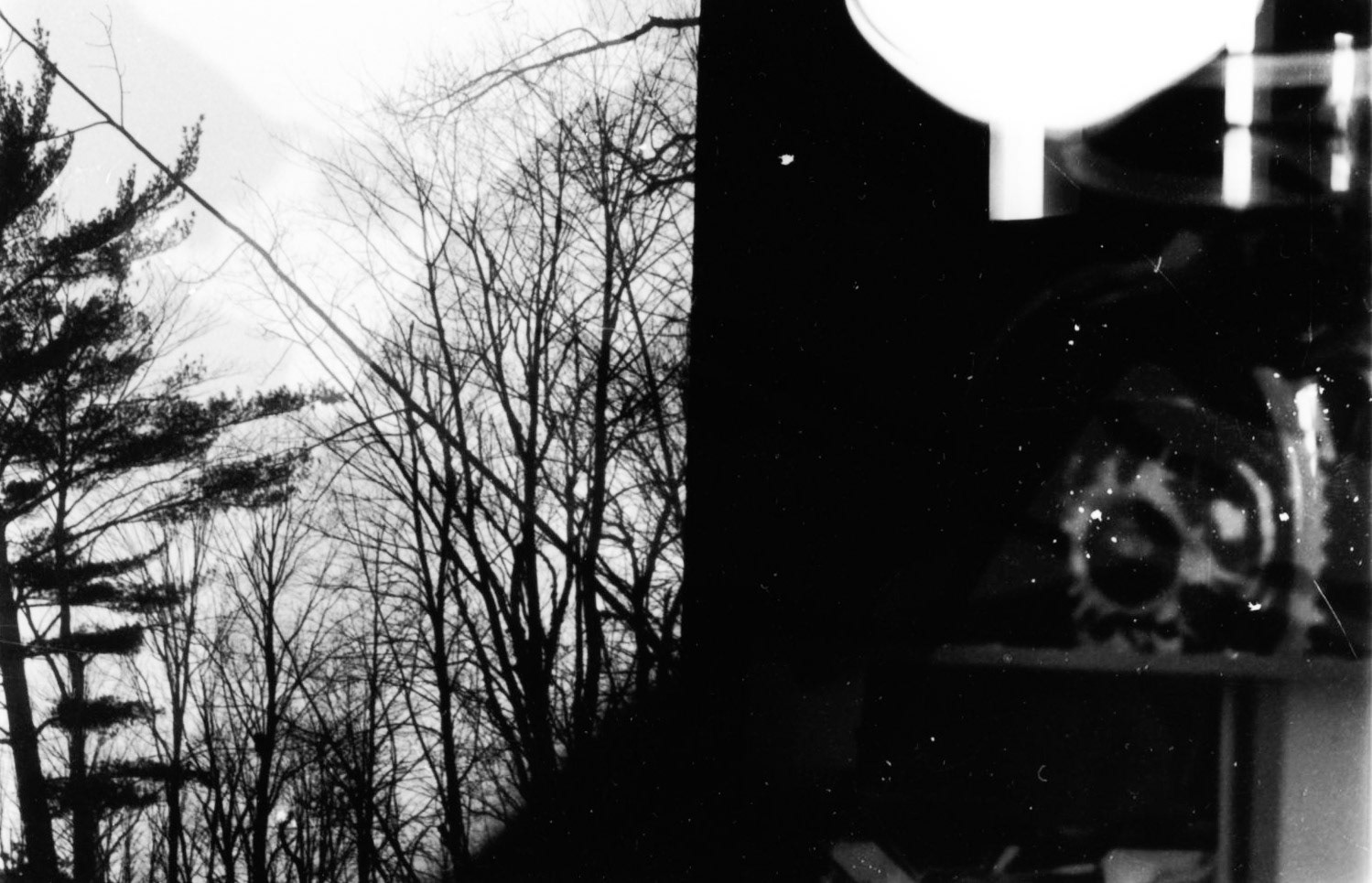 Untitled. Photogram Collage. Variable. 2020.