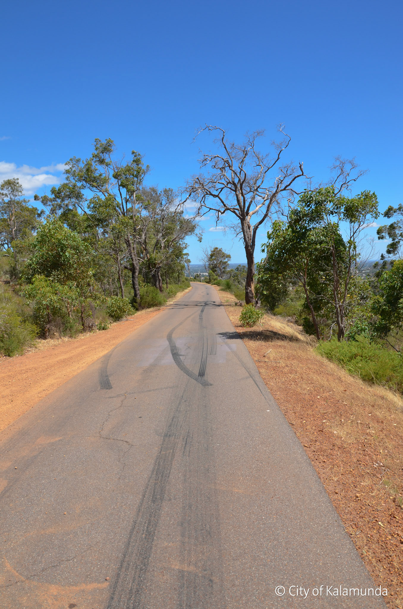 Gooseberry Hill