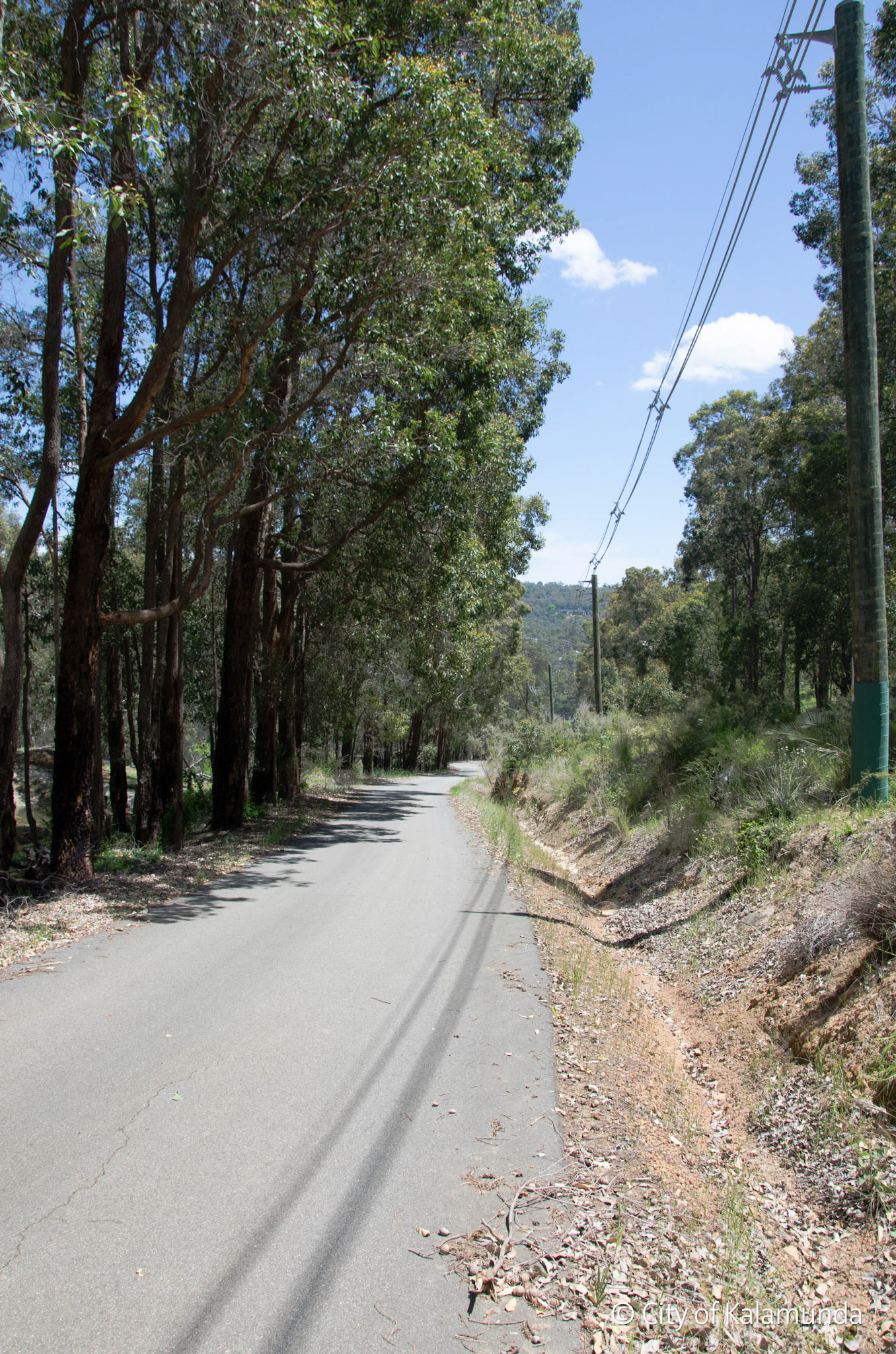 Piesse Brook