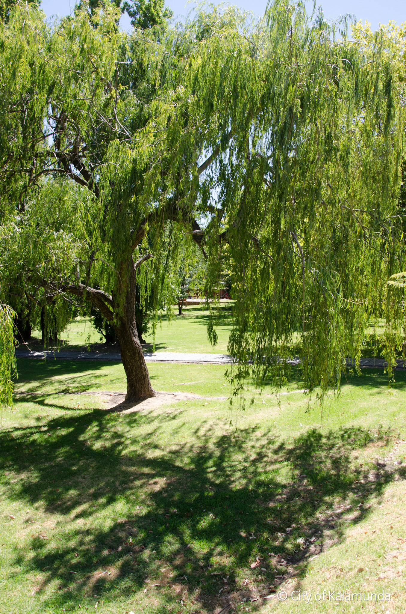 Kalamunda