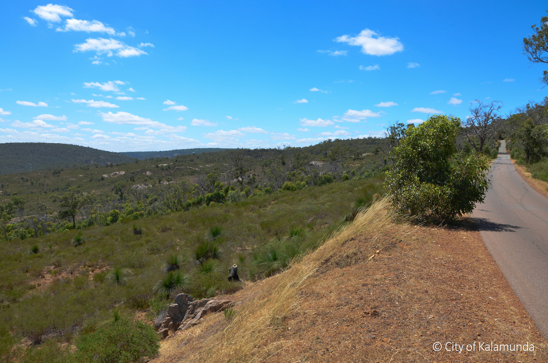 Gooseberry Hill