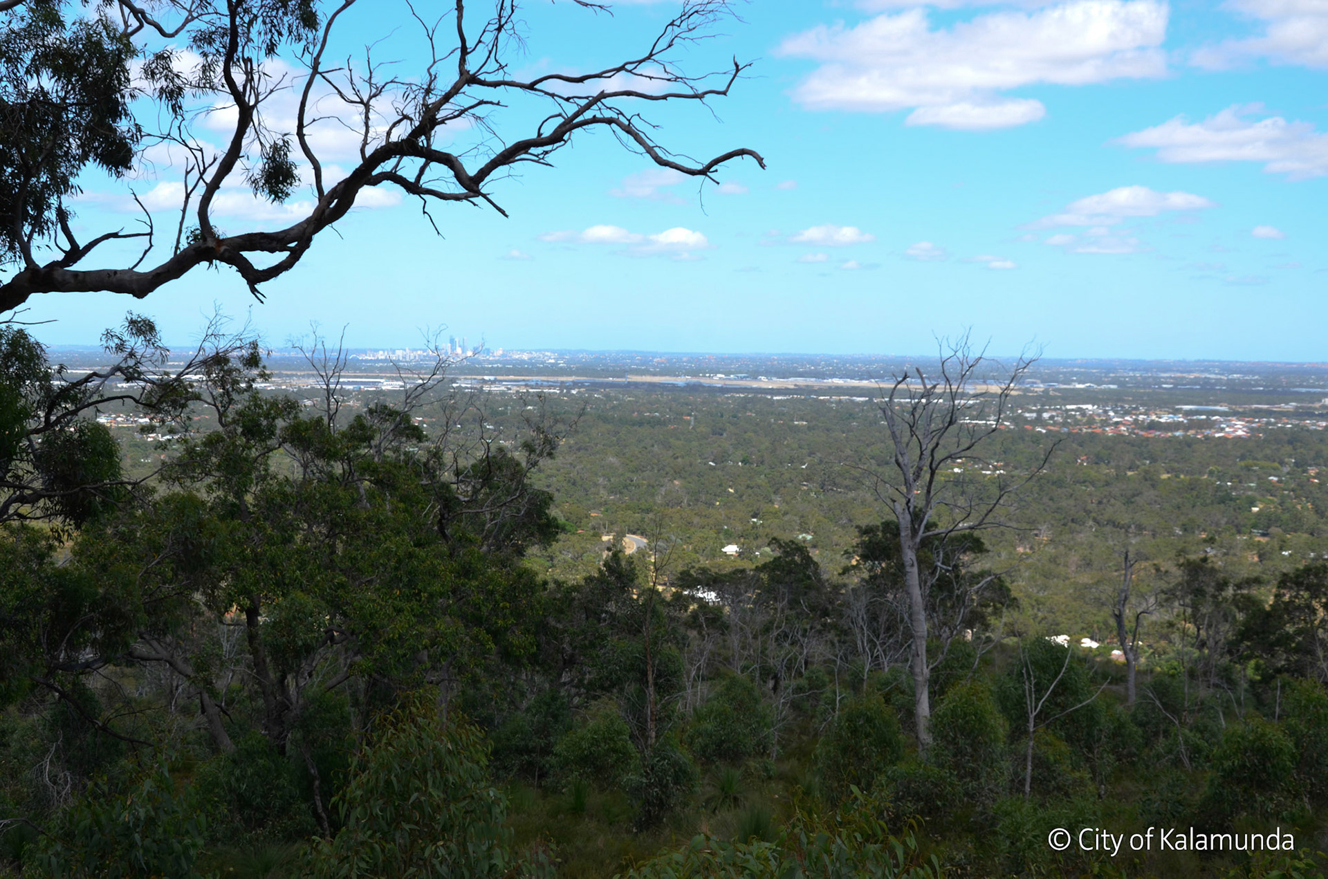 Gooseberry Hill