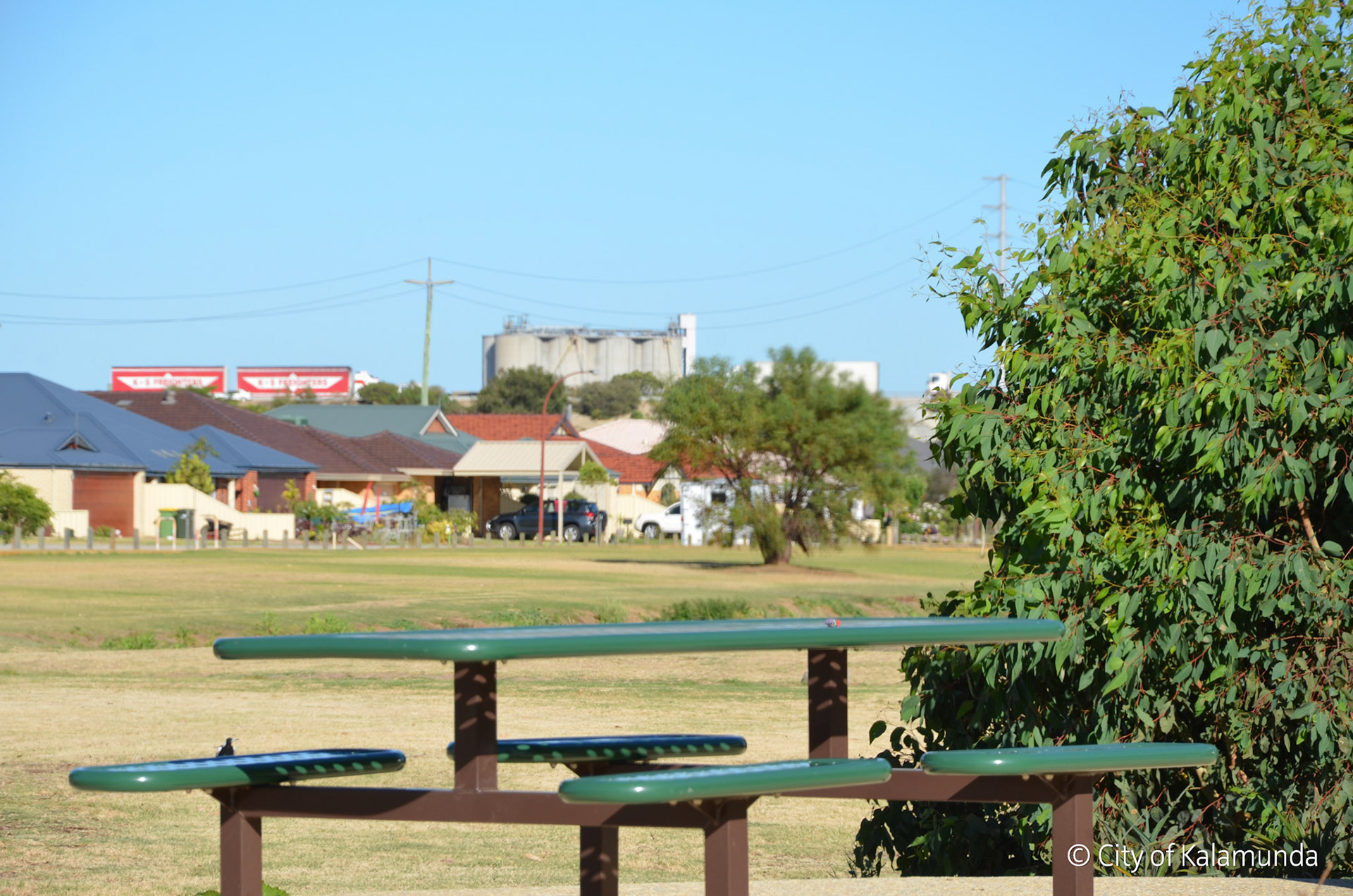 Wattle Grove