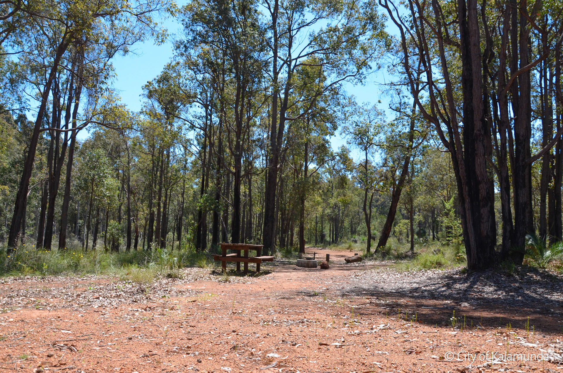 Hacketts Gully