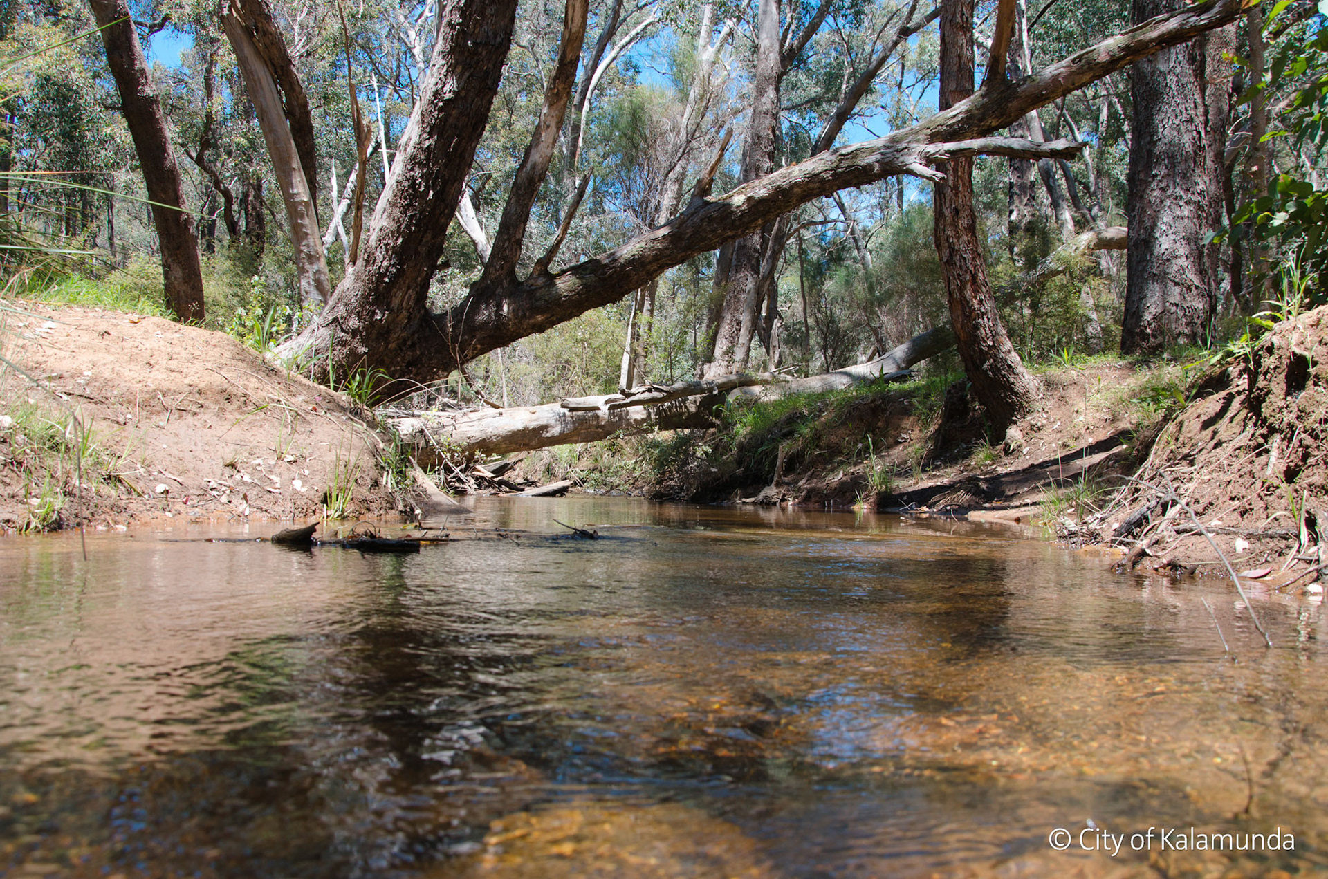 Piesse Brook