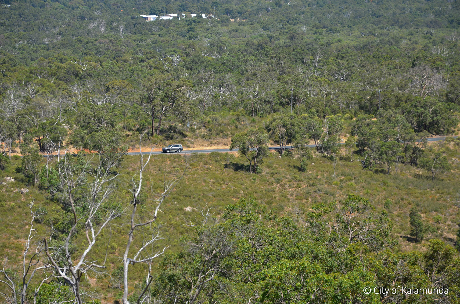 Gooseberry Hill