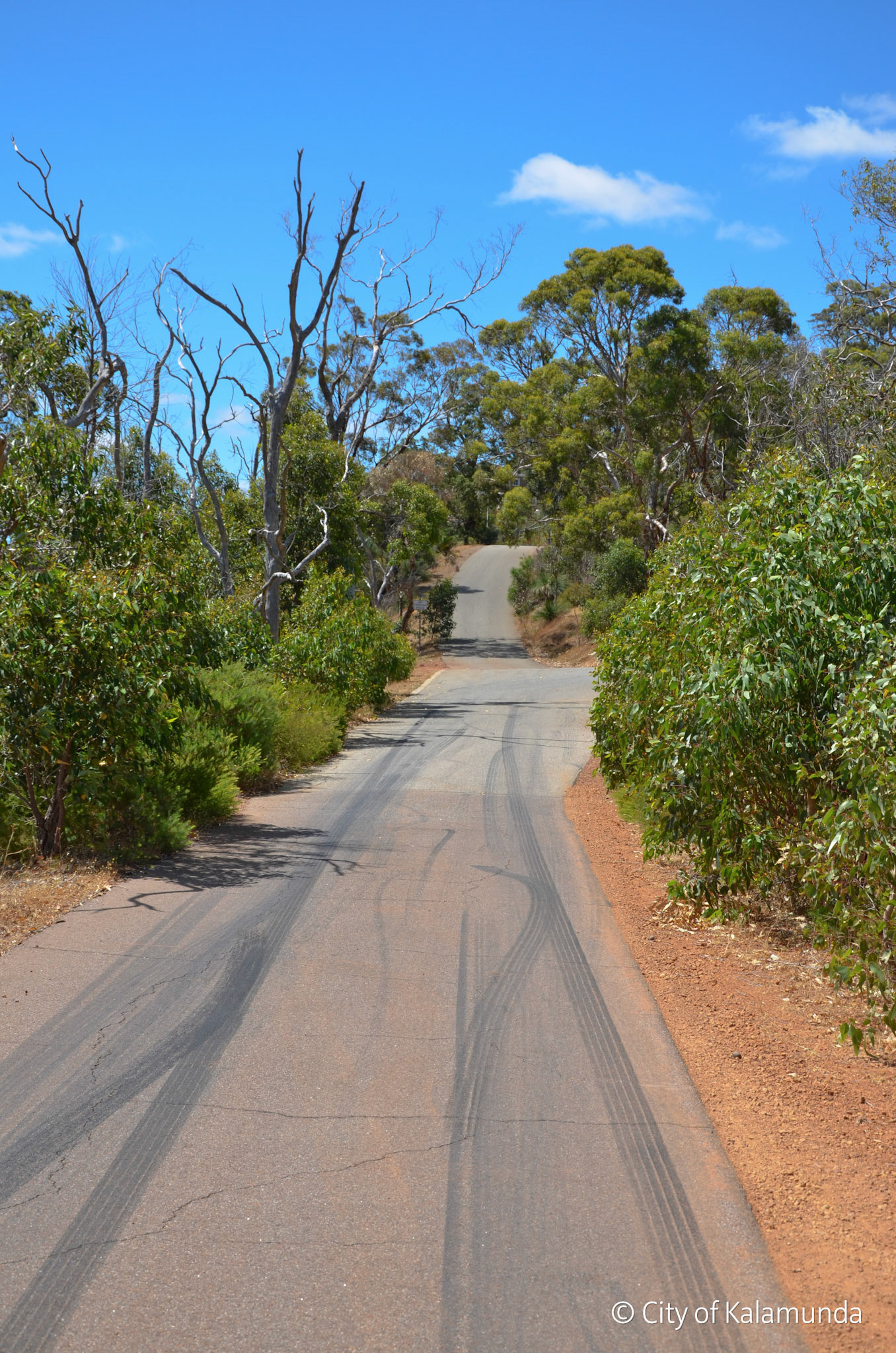 Gooseberry Hill
