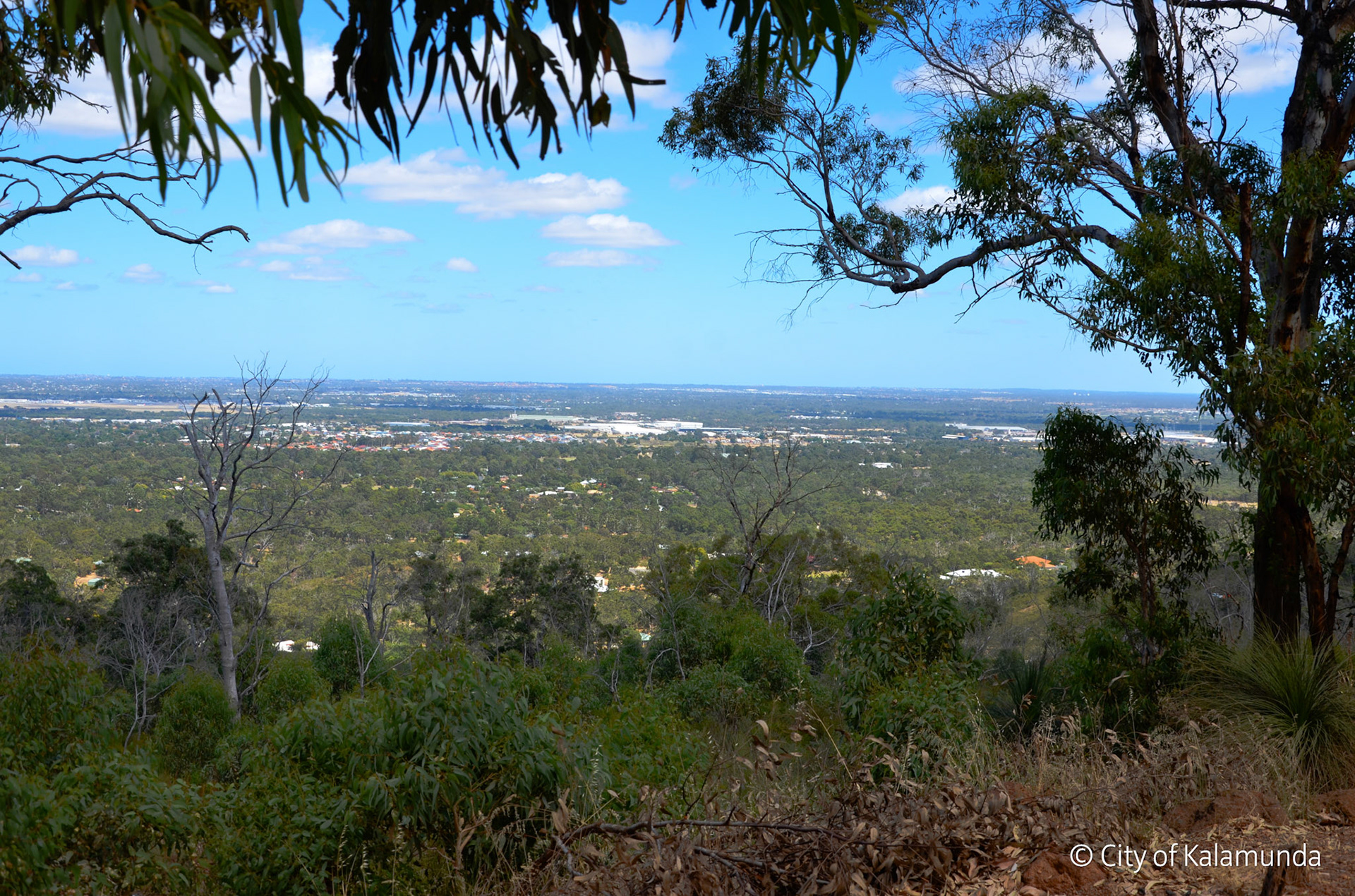 Gooseberry Hill