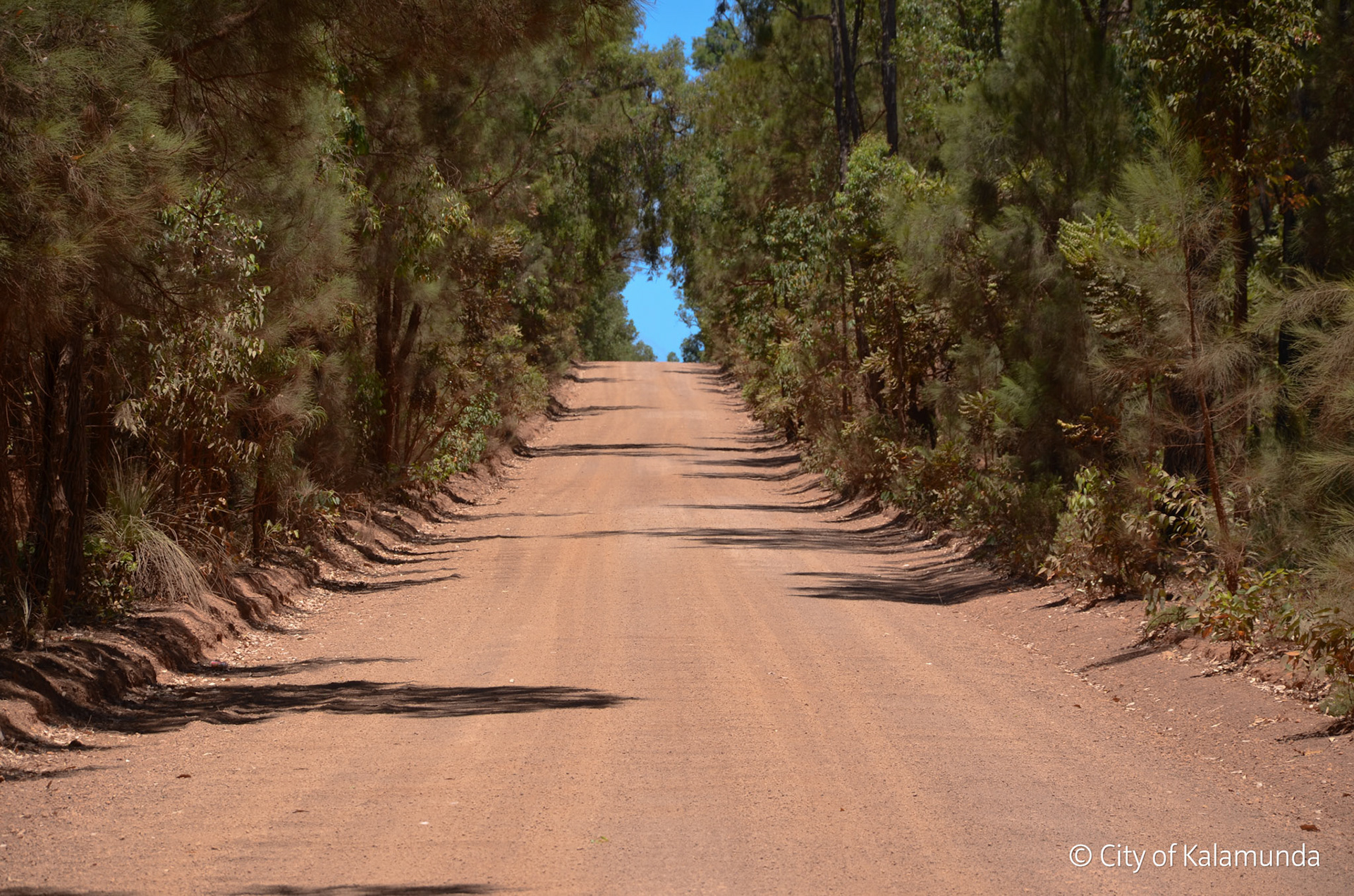 Hacketts gully