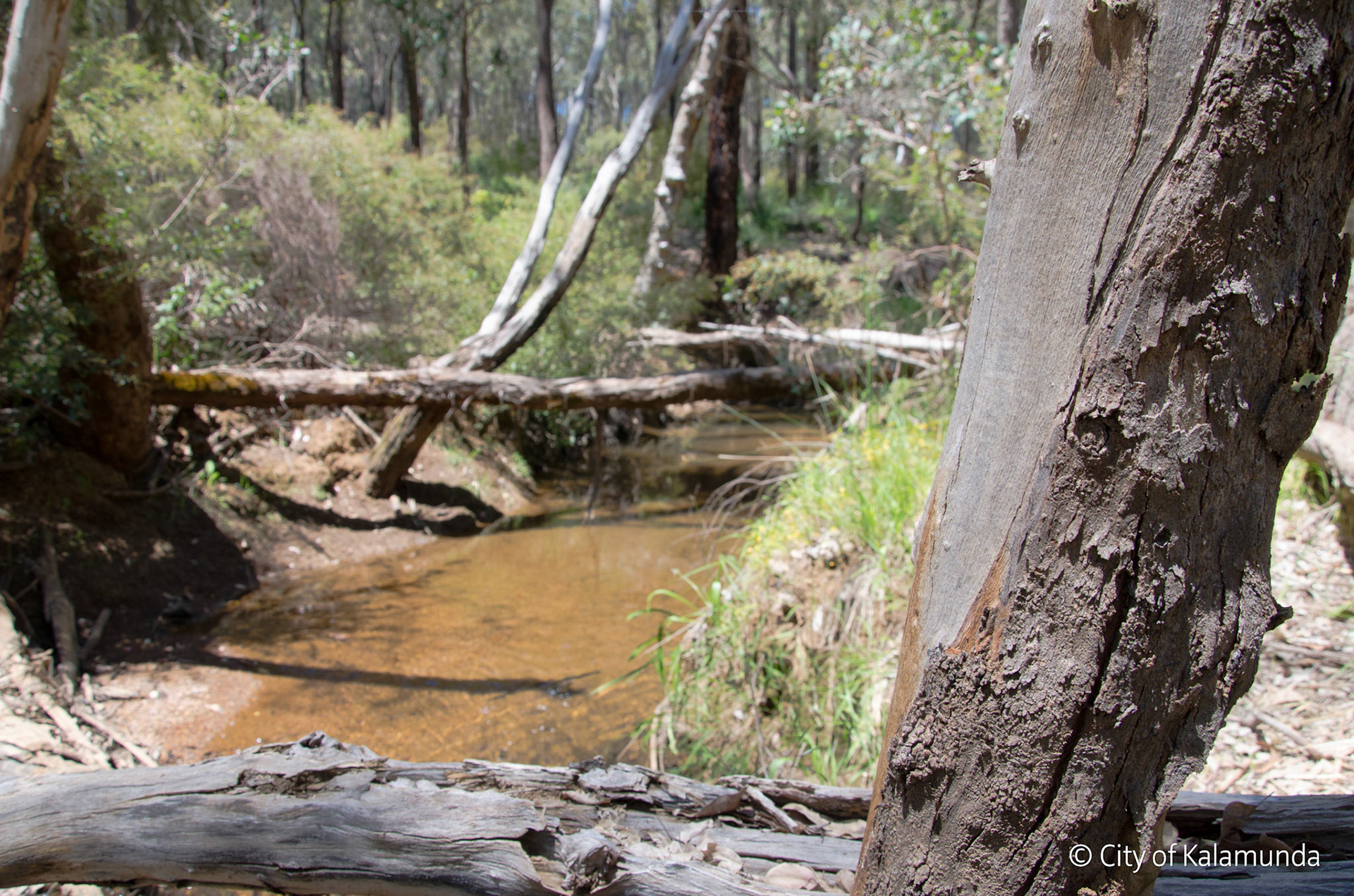 Piesse Brook