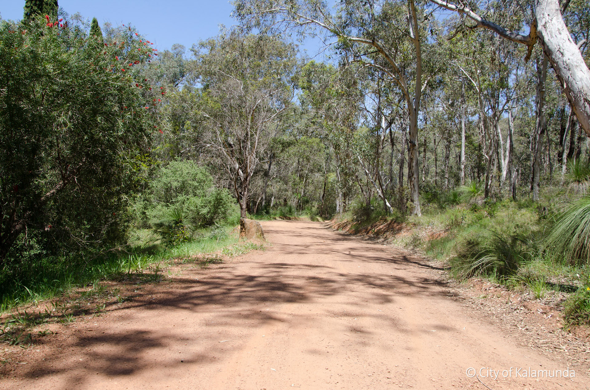 Piesse Brook