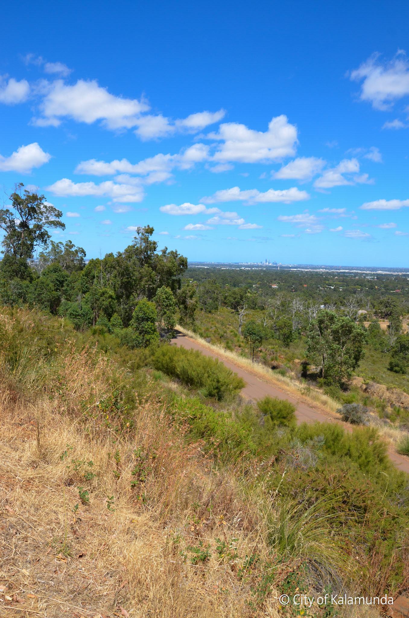 Gooseberry Hill