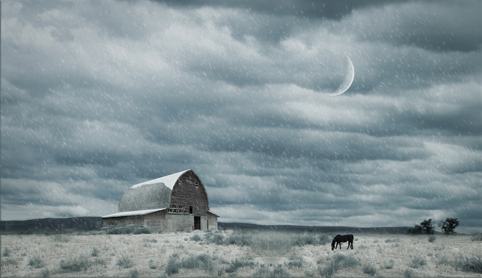 Evening Snow