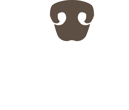 Profinasen - Bettwanzenspürhunde München