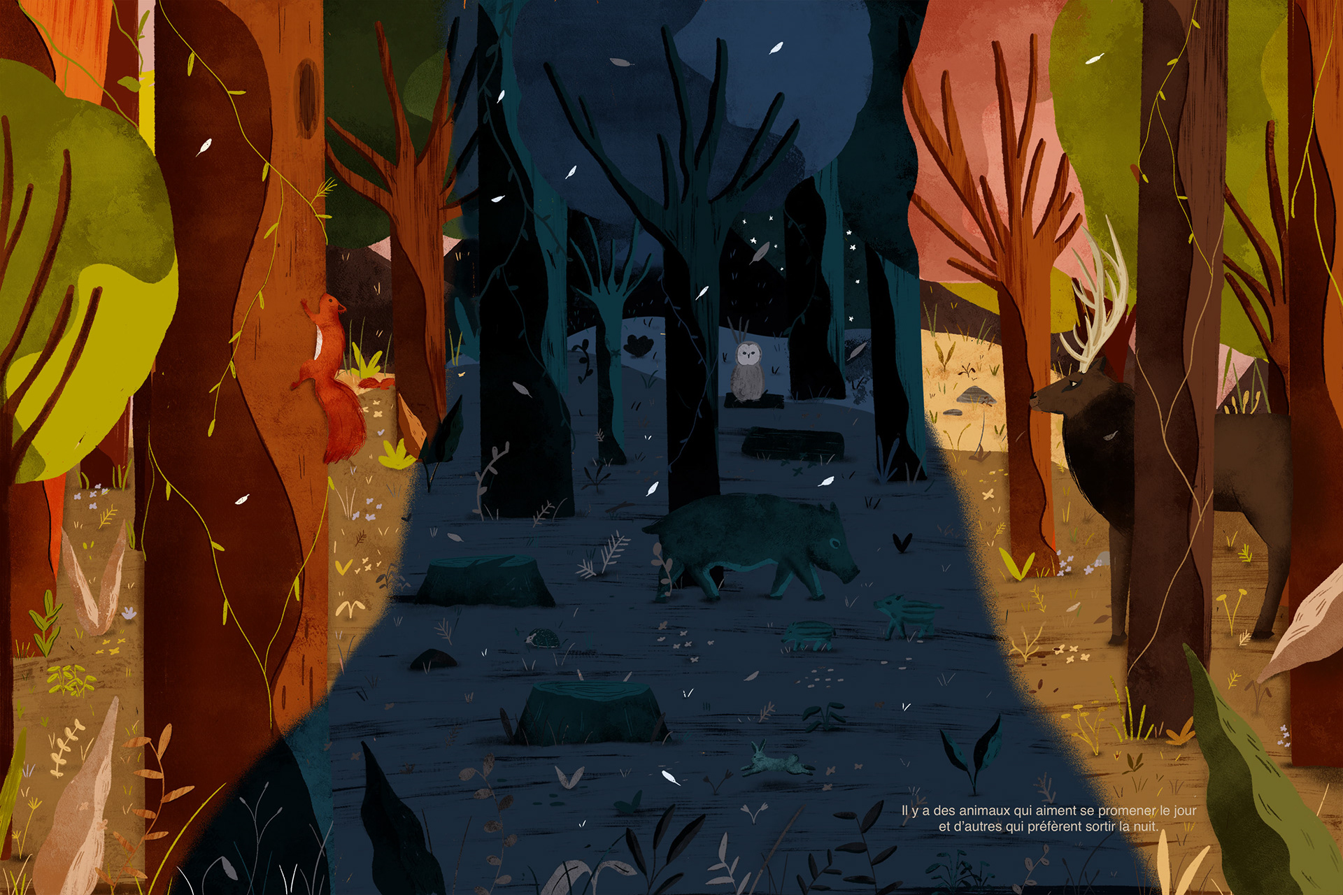 Dans la foret - Projet d'edition - recherche d'editeurs