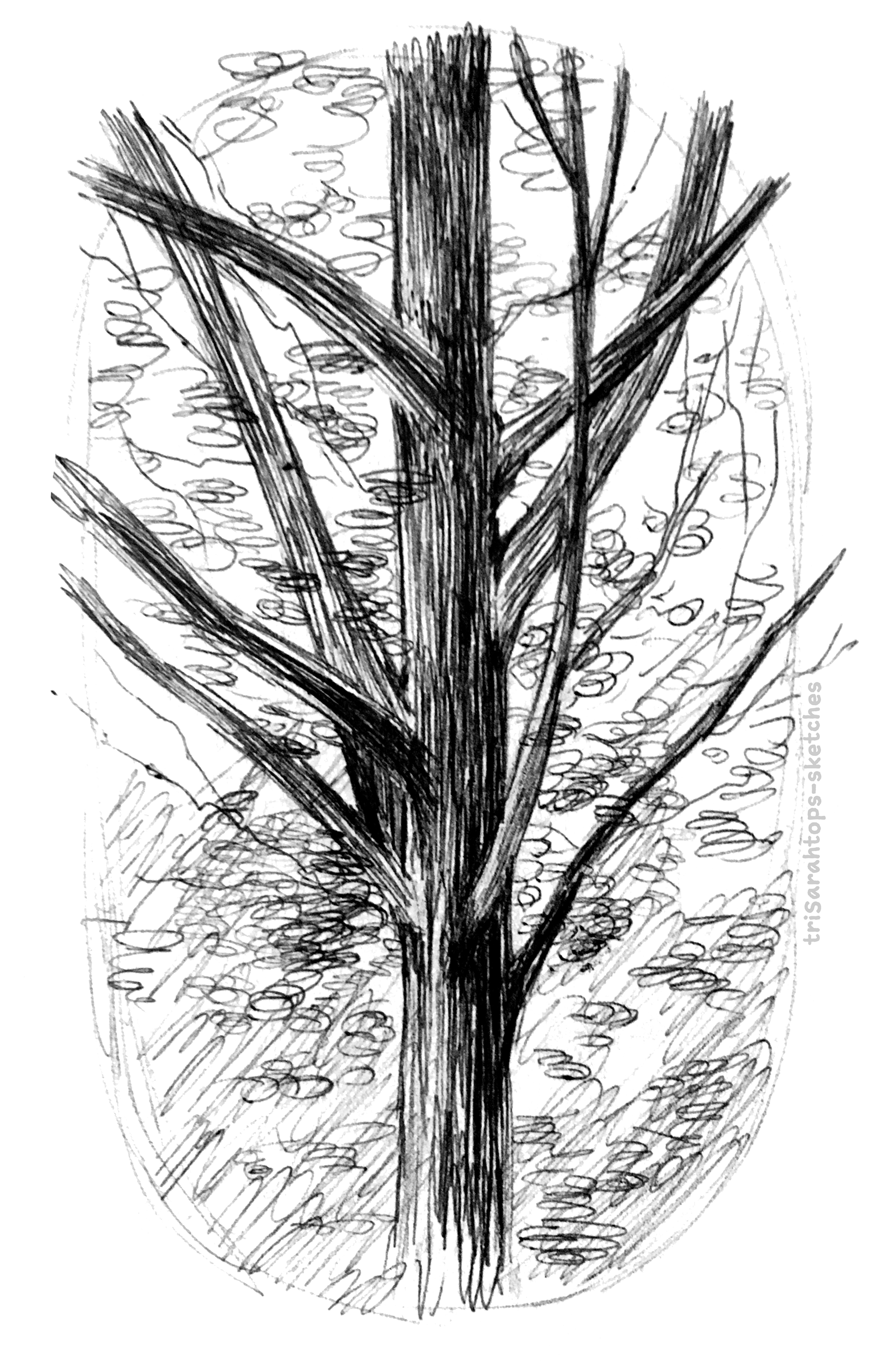 Tree; Ink