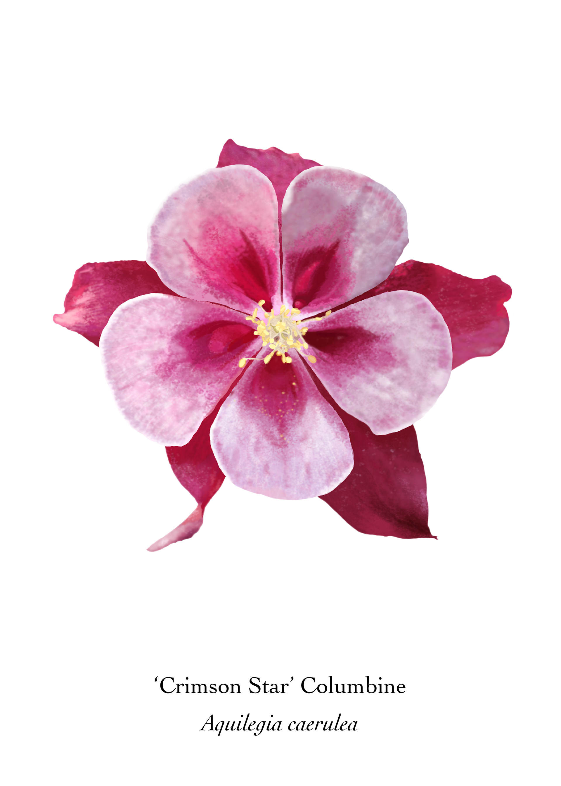 Available at: https://displate.com/displate/1434473