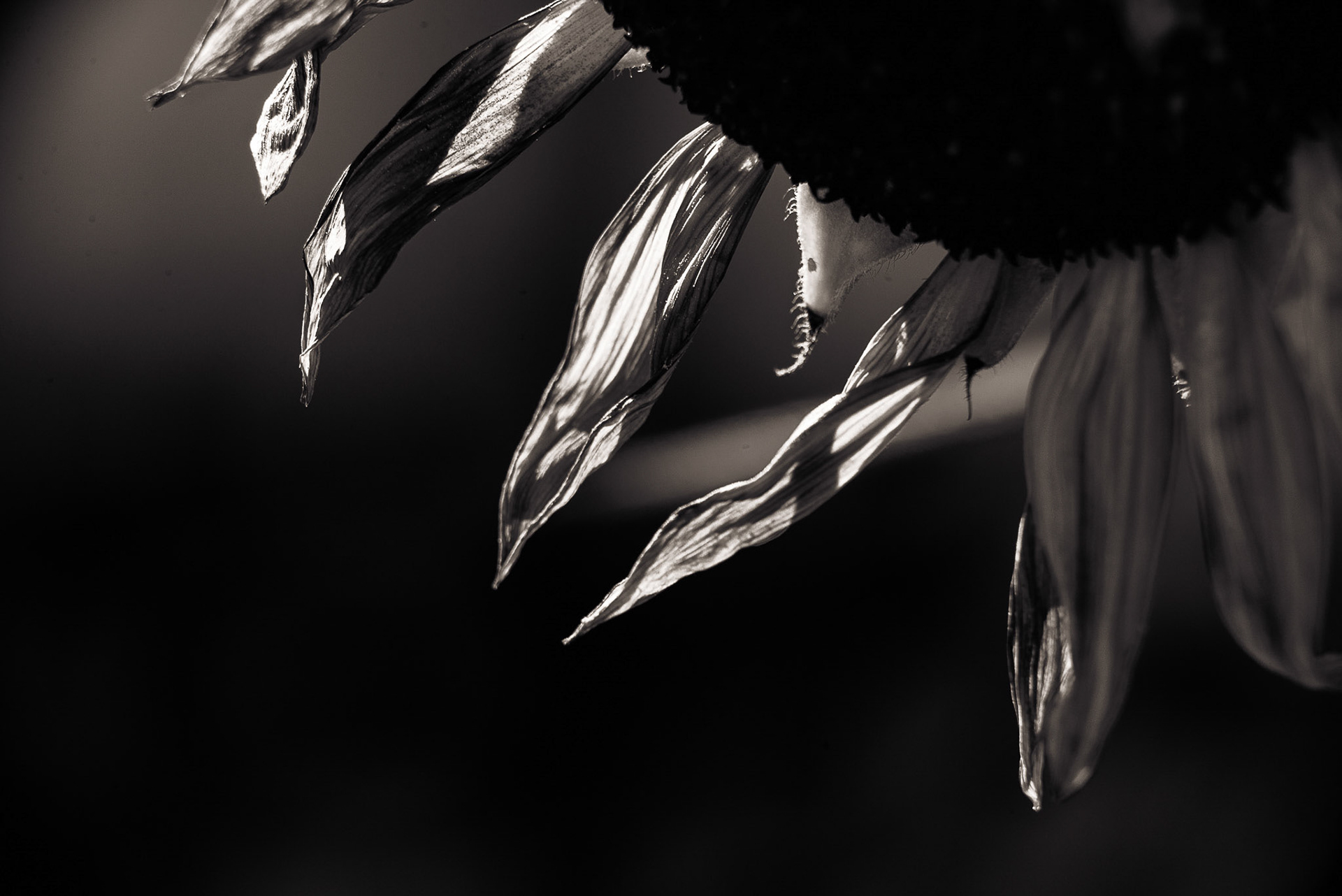 Untitled, 2020