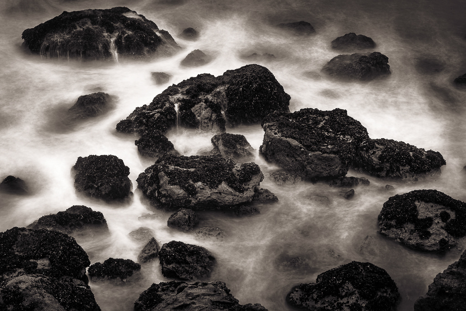 Turmoil, 2019
