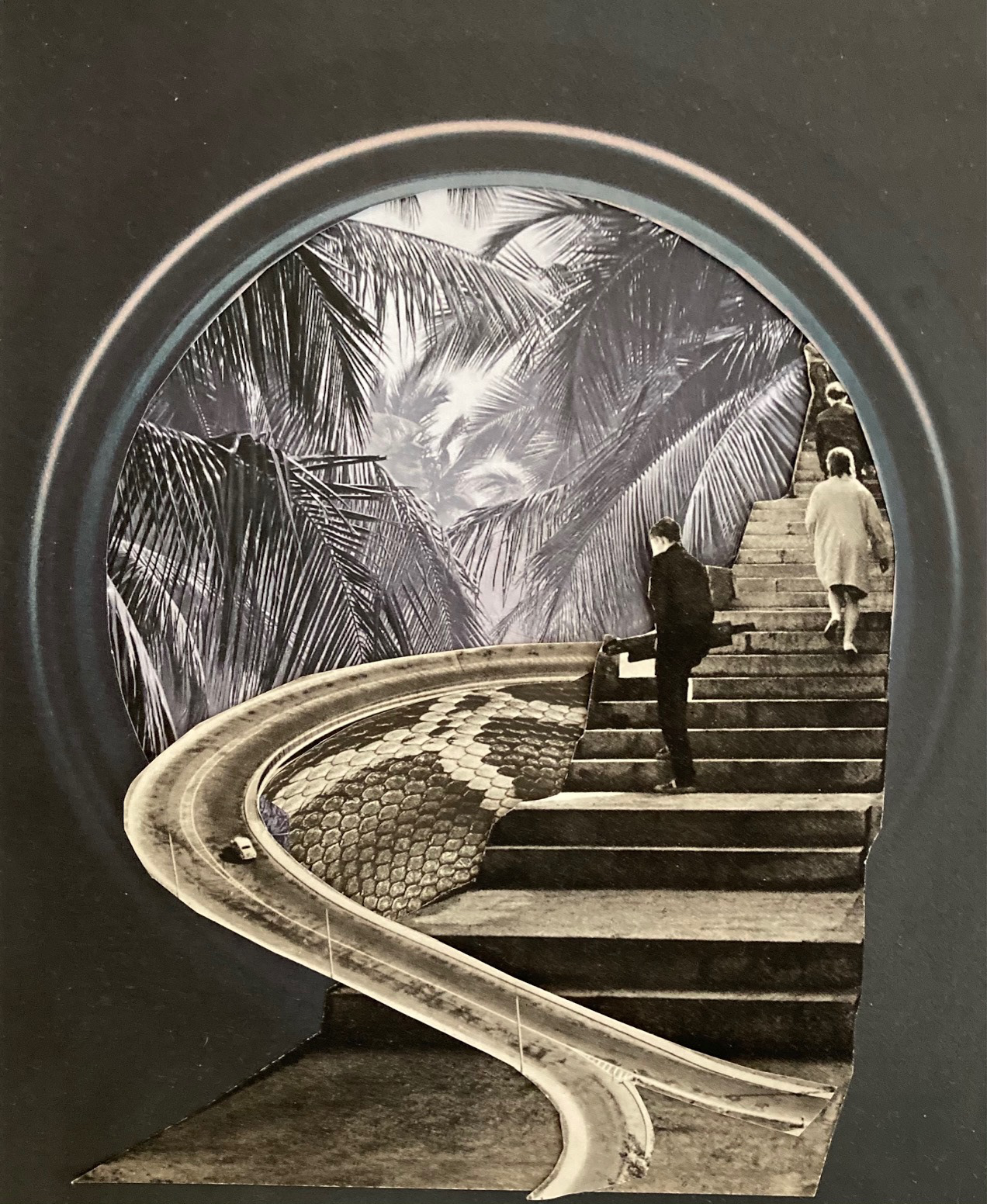 "Jungle" - Februllage 2021, Edinburgh Collage Collective - www.instagram.com/februllage